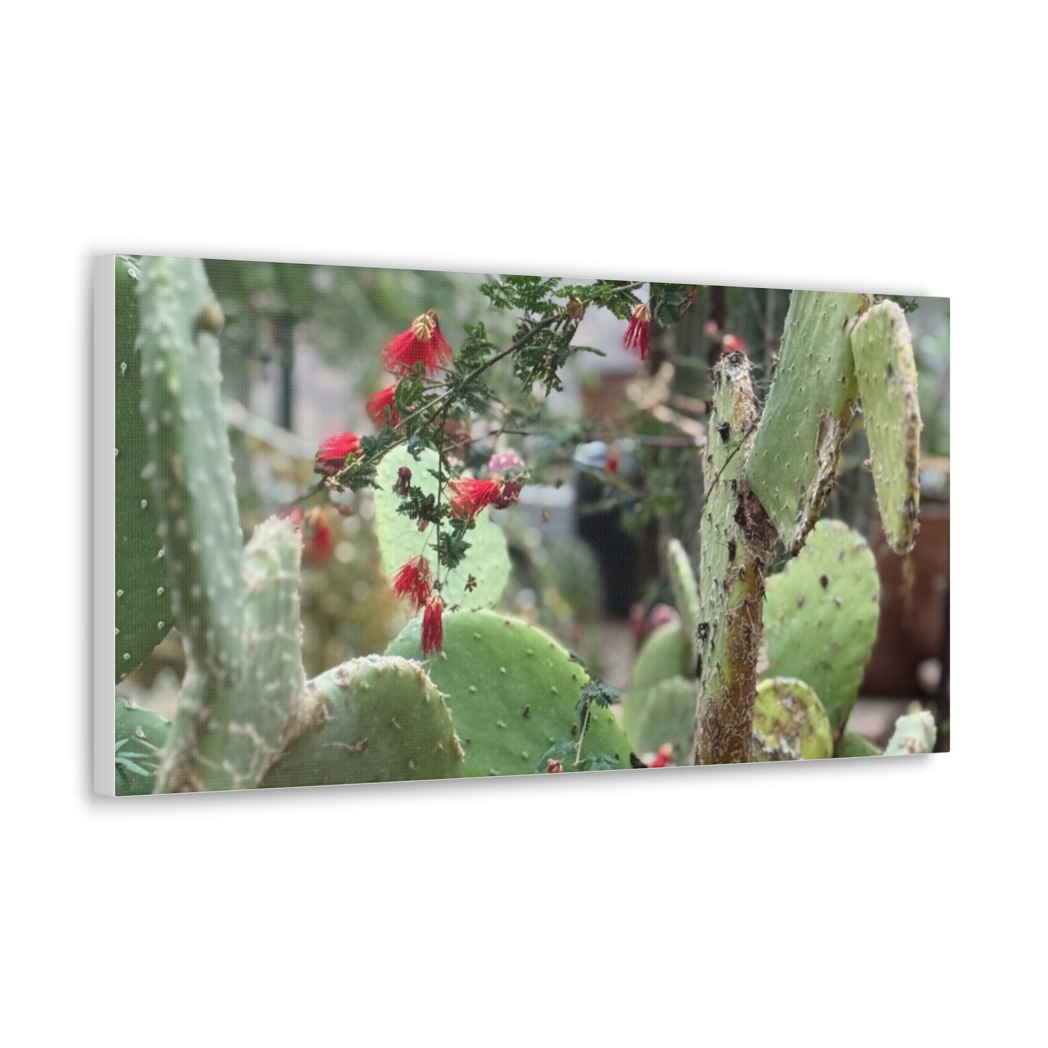 Cactus Artwork Print, Botanical Wall Decor, Succulent Canvas, Nature Lover Gift, Home Decoration