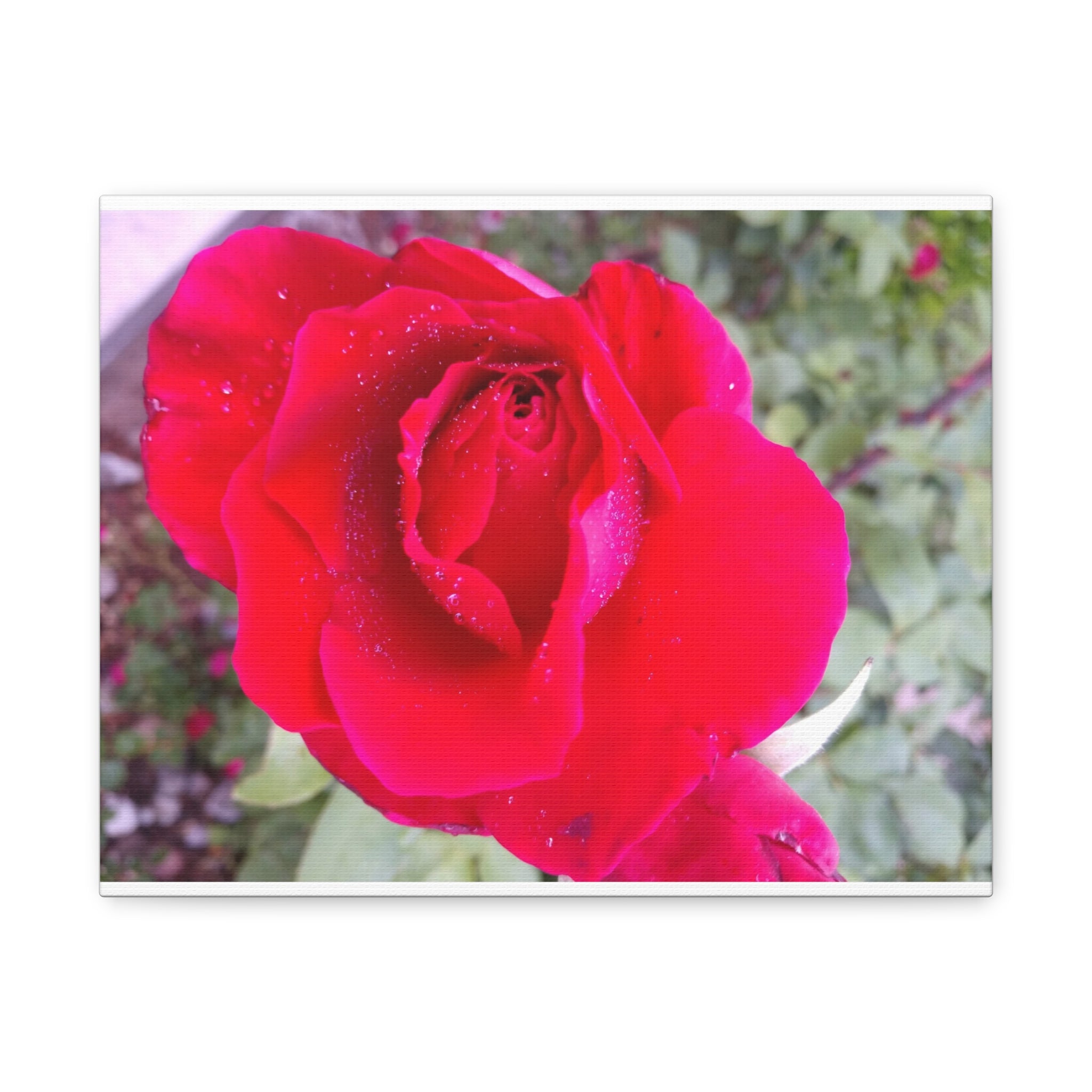 Vibrant Floral Canvas Art, Elegant Wall Decor, Perfect for Home, Gifts, Mother's Day, and Weddings