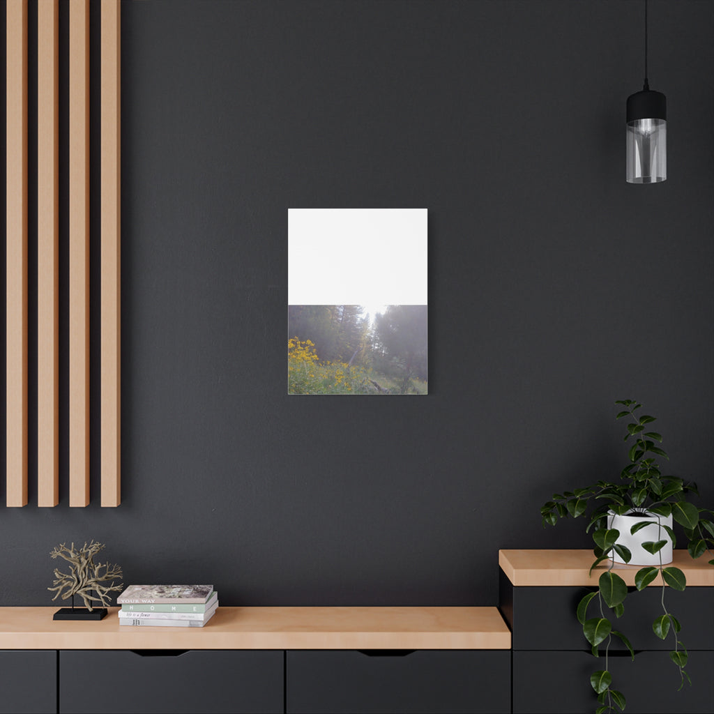 Matte Canvas, Stretched, 1.25"