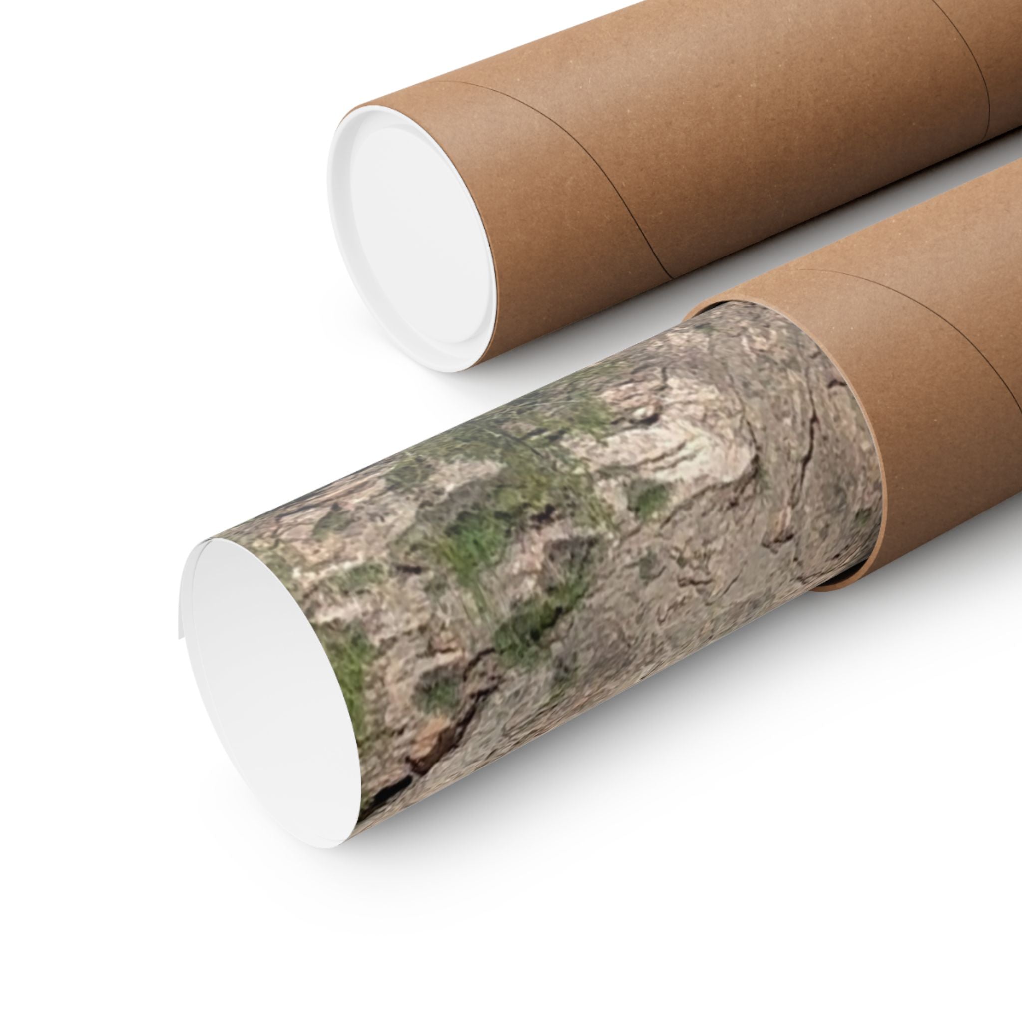 Nature-Inspired Matte Vertical Posters, Scenic Wall Art, Home Decor, Outdoor Aesthetics, Gift for Nature Lovers