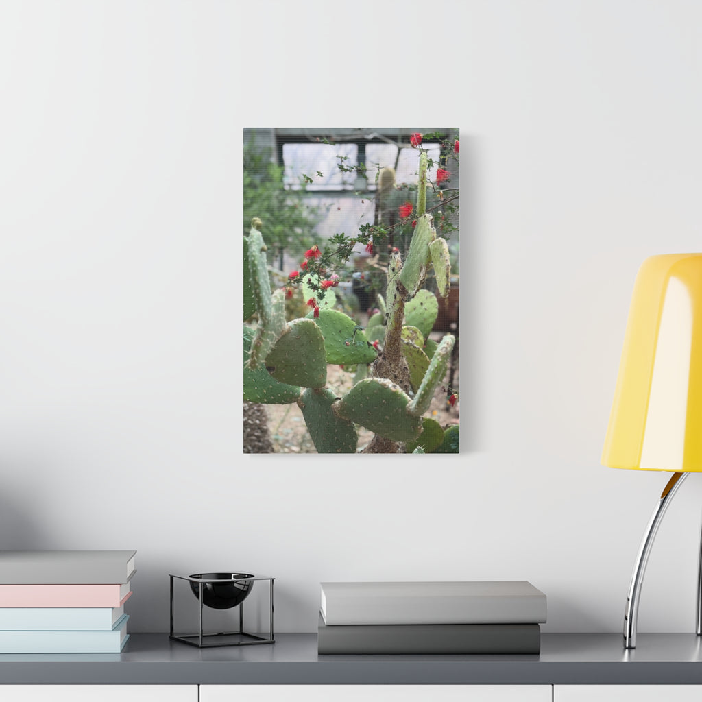 Cactus Artwork Print, Botanical Wall Decor, Succulent Canvas, Nature Lover Gift, Home Decoration