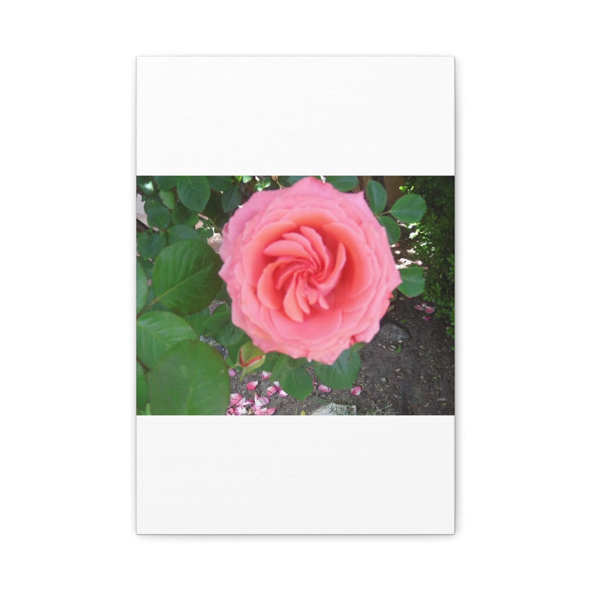 Pink Rose Canvas Wall Art, Floral Decor for Home, Perfect Gift for Nature Lovers, Elegant Wall Hanging, Mother's Day Decoration