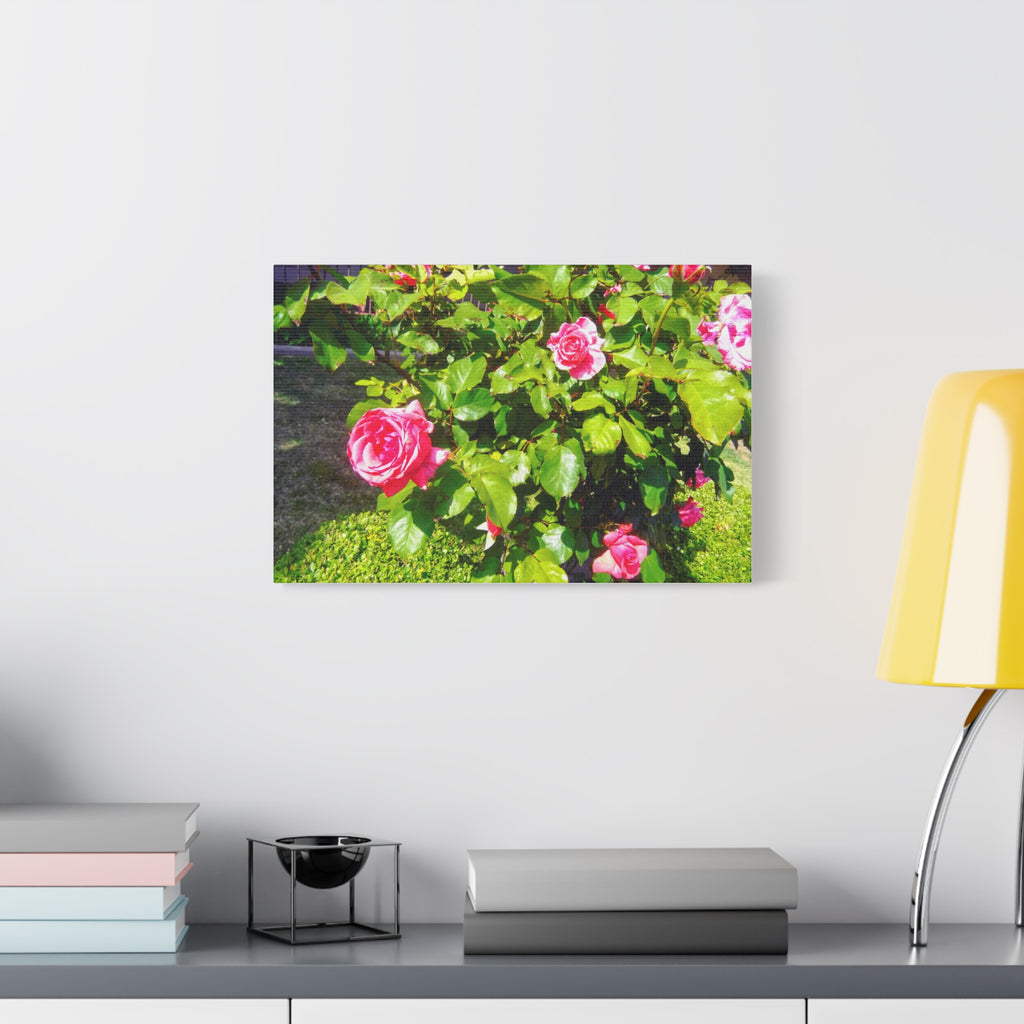 Floral Canvas Wall Art, Pink Rose Decor, Home Gallery Piece, Flower Photography, Garden Wall Decor, Floral Print