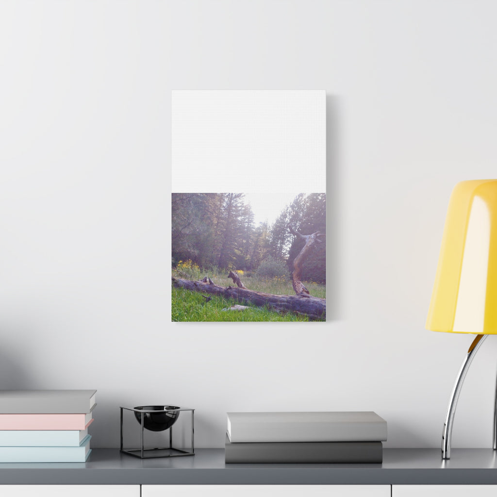 Matte Canvas Wall Art - Serene Nature Scene, Perfect for Home Decor, Gift for Nature Lovers, Office Wall Decoration, Rustic Art Print