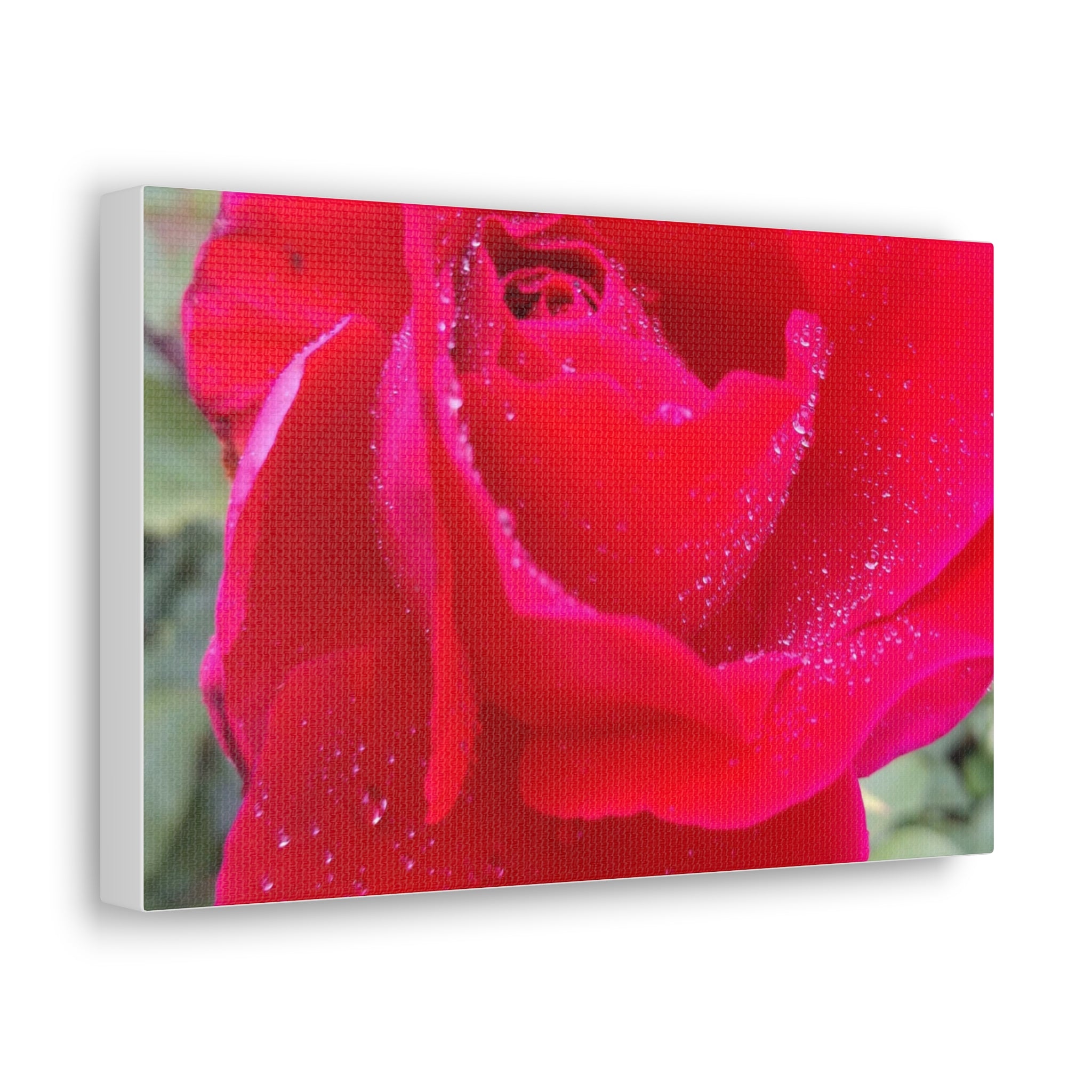 Stunning Floral Canvas Print, Home Decor, Wall Art, Gift for Flower Lovers, Red Rose Art, Mother's Day Gift