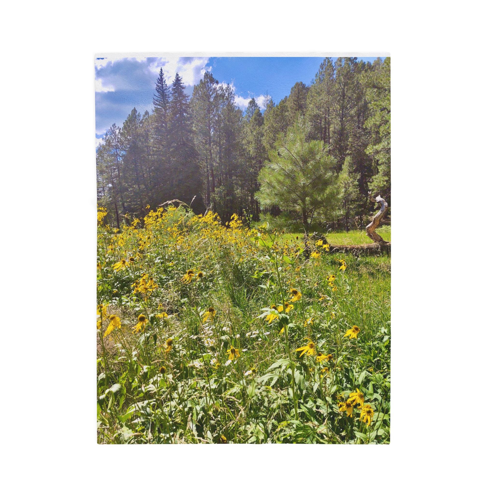 Cozy Velveteen Plush Blanket for Nature Lovers, Soft Throw, Perfect Gift for Home Decor, Warm Blanket for Camping, Picnics, Outdoor Comfort