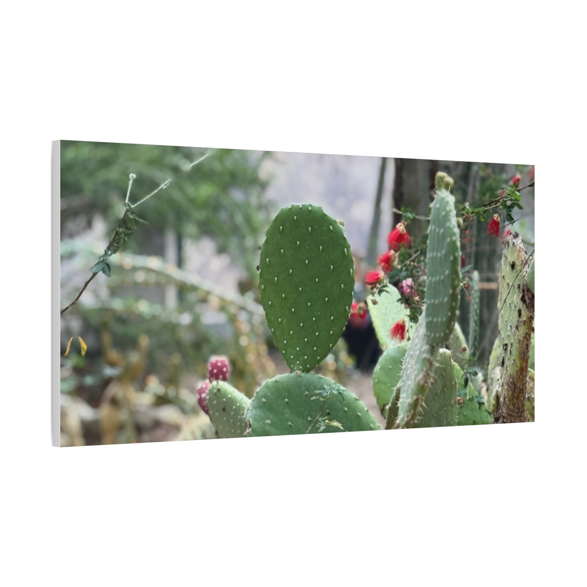 Cactus Matte Canvas Wall Art, Nature Decor, Southwestern Room Design, Green Plant Prints, Home and Office Wall Decor