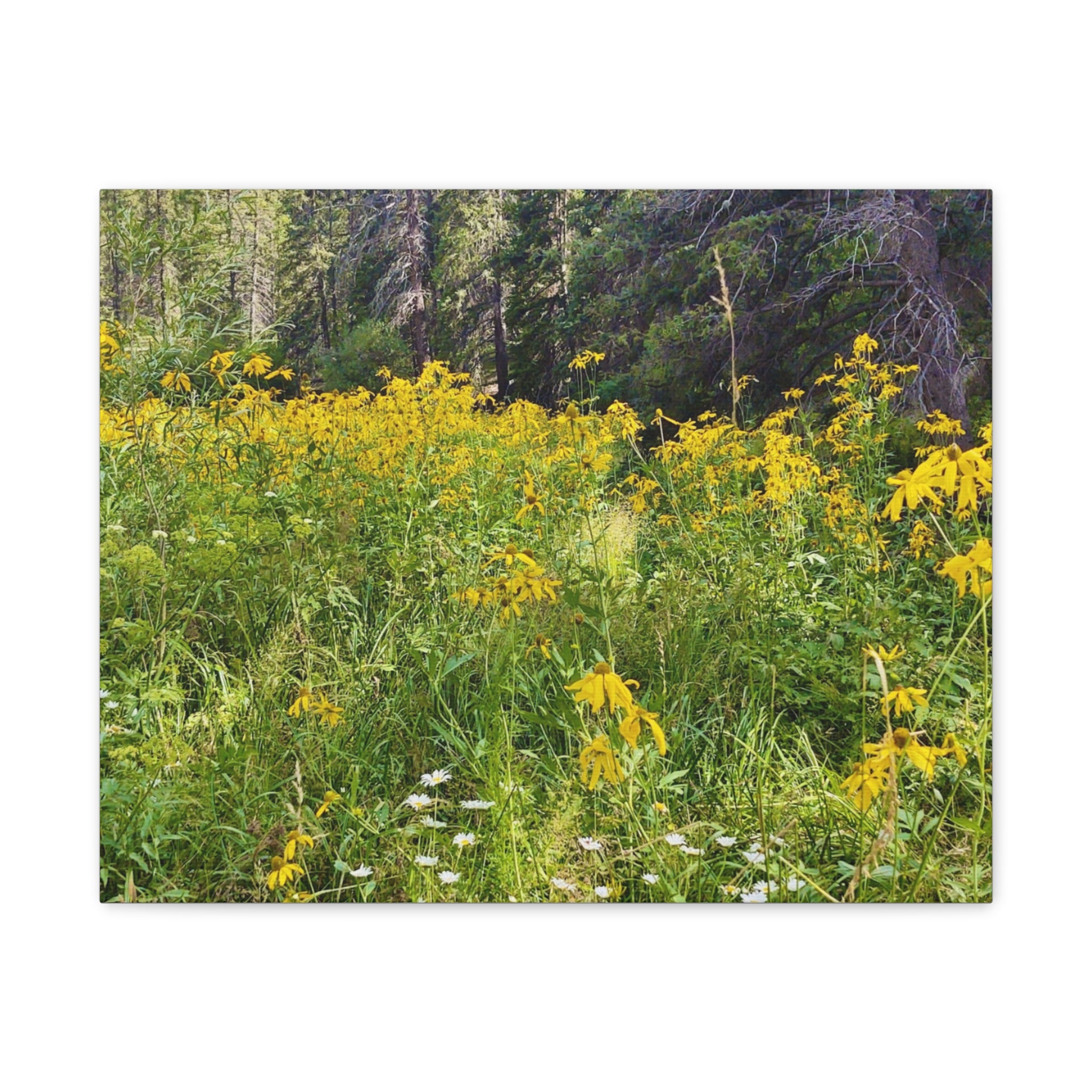 Nature-Inspired Wall Art Print, Classic Canvas Landscape, Floral Forest Decor, Home Wall Decoration, Gift for Nature Lovers