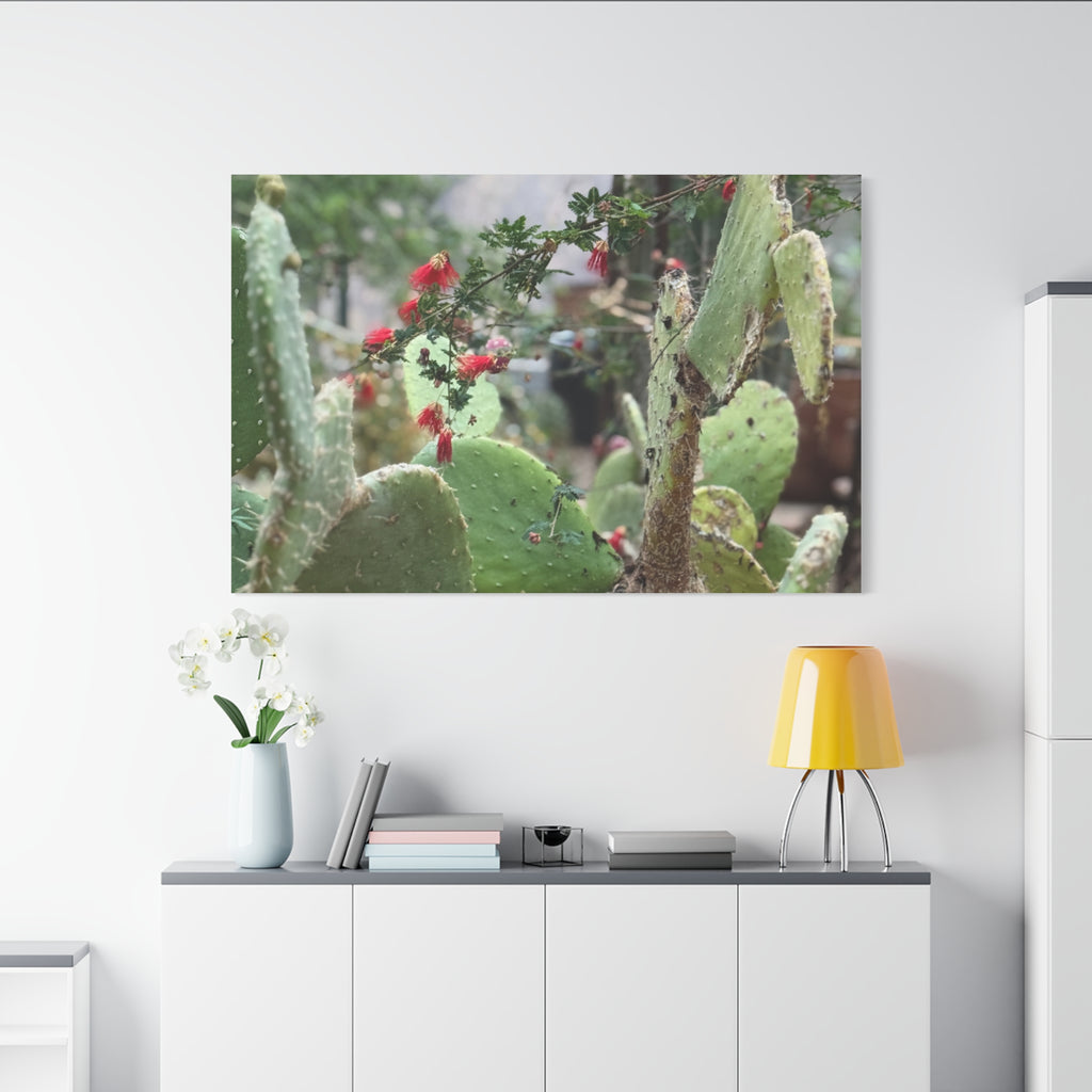 Cactus Artwork Print, Botanical Wall Decor, Succulent Canvas, Nature Lover Gift, Home Decoration
