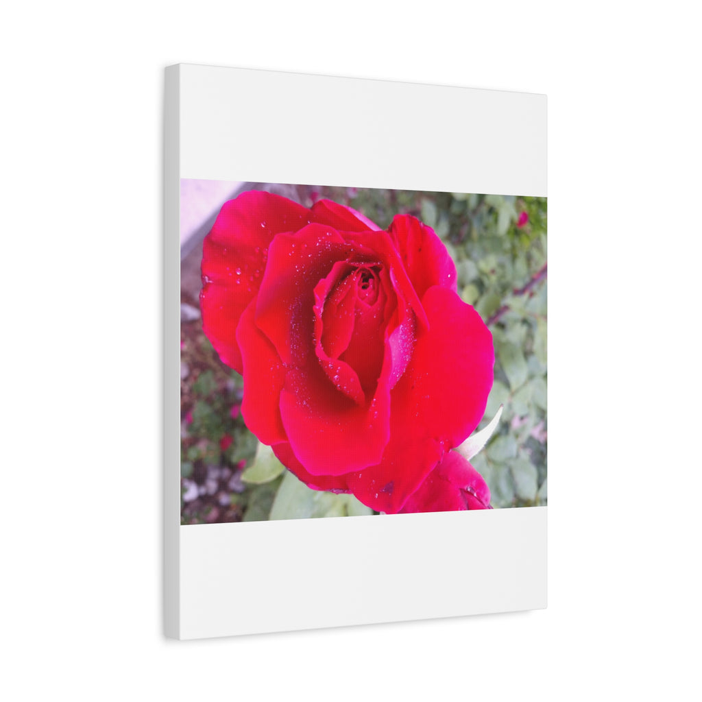 Vibrant Floral Canvas Art, Elegant Wall Decor, Perfect for Home, Gifts, Mother's Day, and Weddings