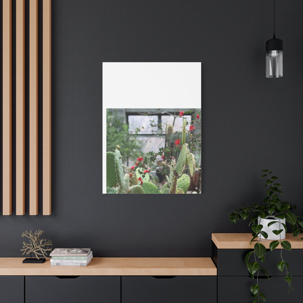 Cactus Wall Art Print, Nature Home Decor, Bohemian Style Artwork, Botanical Gift, Succulent Canvas