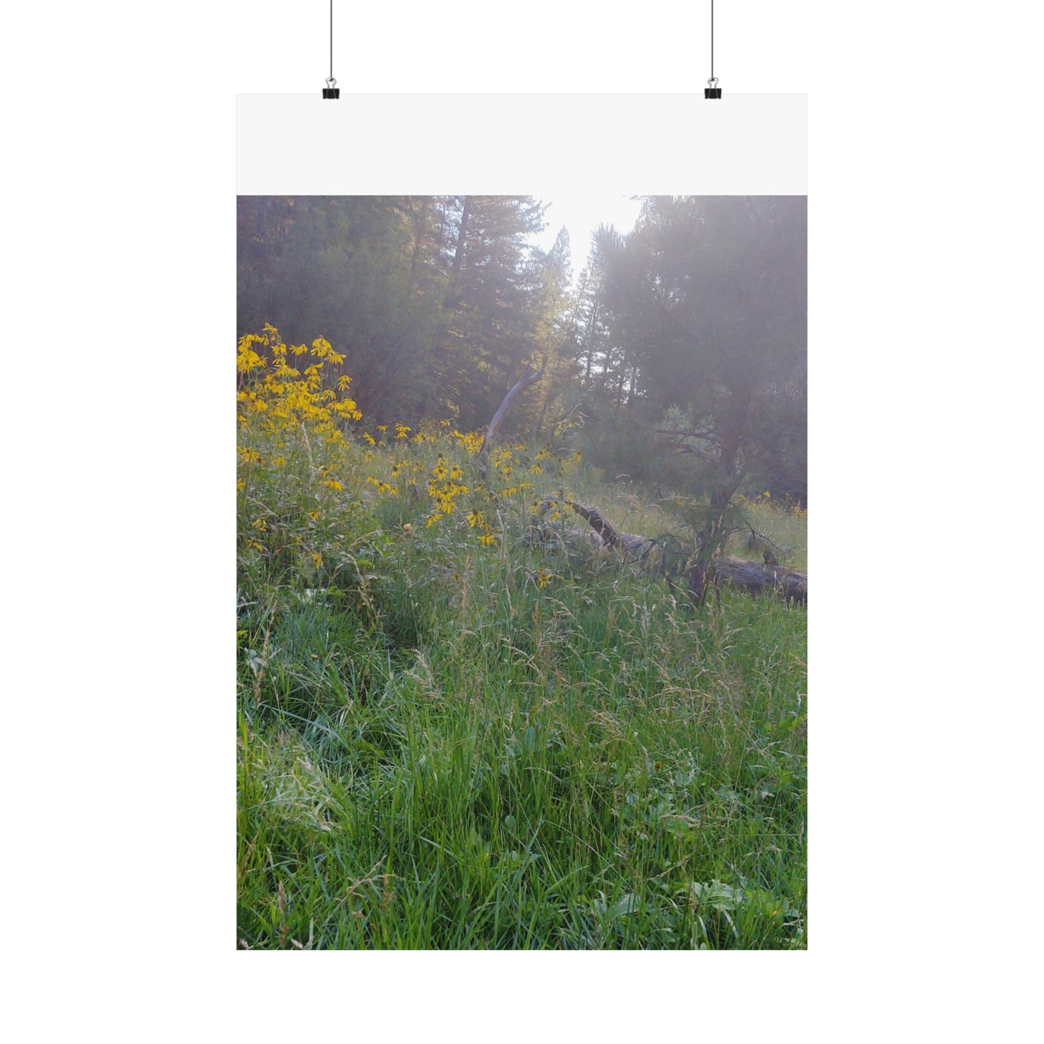 Nature-Inspired Matte Vertical Posters, Floral Art Print, Wall Decor, Home Aesthetic, Cottage Core Decor, Boho Wall Art