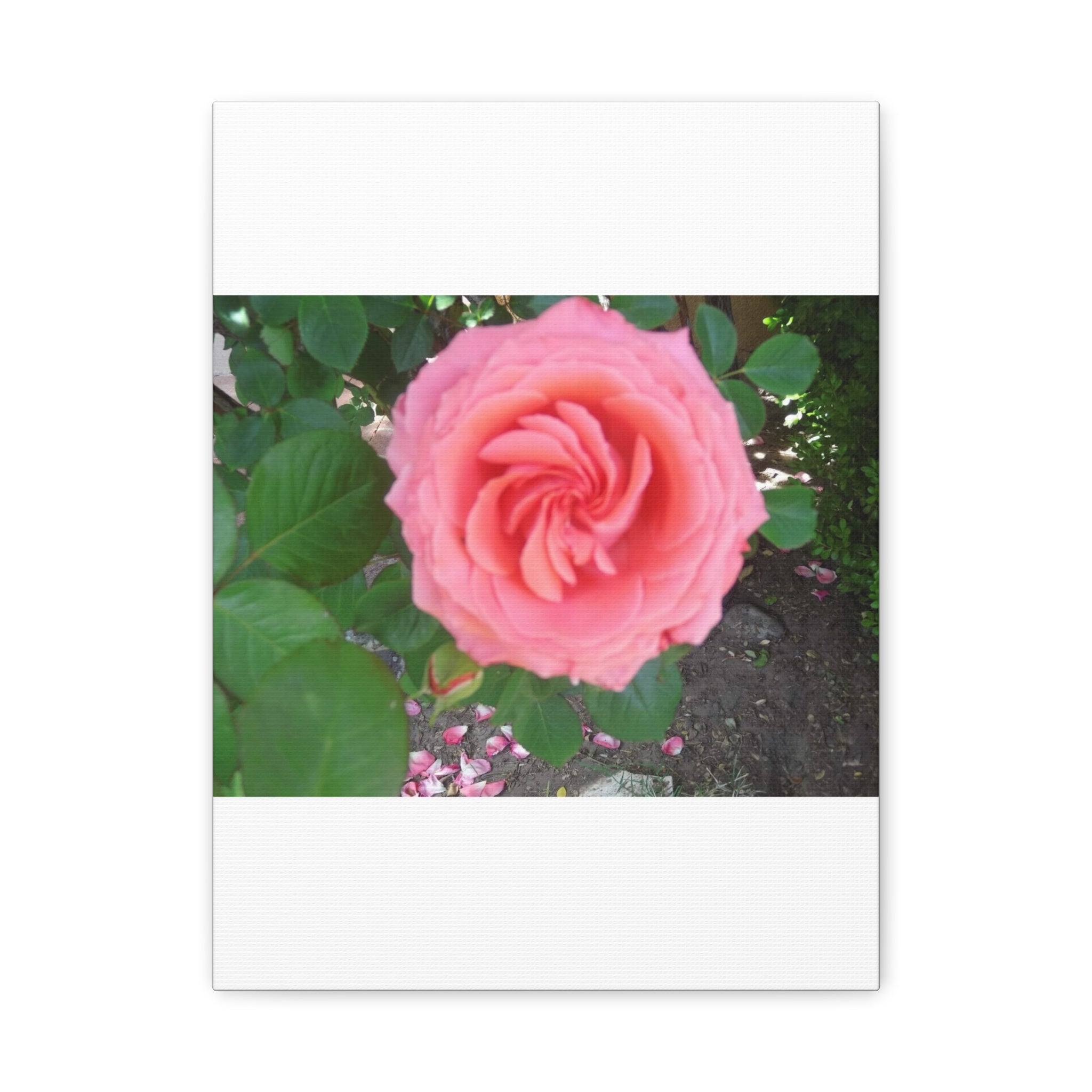 Pink Rose Canvas Wall Art, Floral Decor for Home, Perfect Gift for Nature Lovers, Elegant Wall Hanging, Mother's Day Decoration