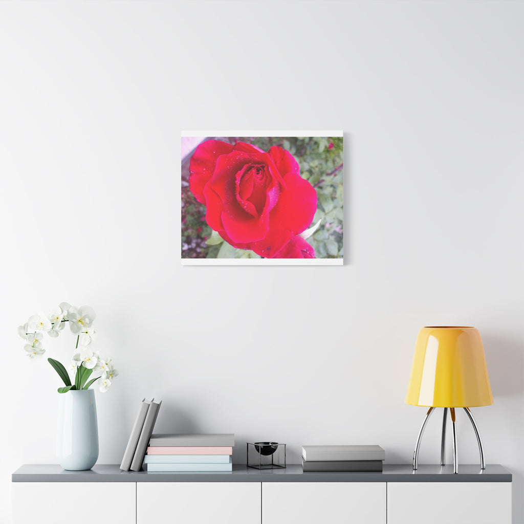 Vibrant Floral Canvas Art, Elegant Wall Decor, Perfect for Home, Gifts, Mother's Day, and Weddings