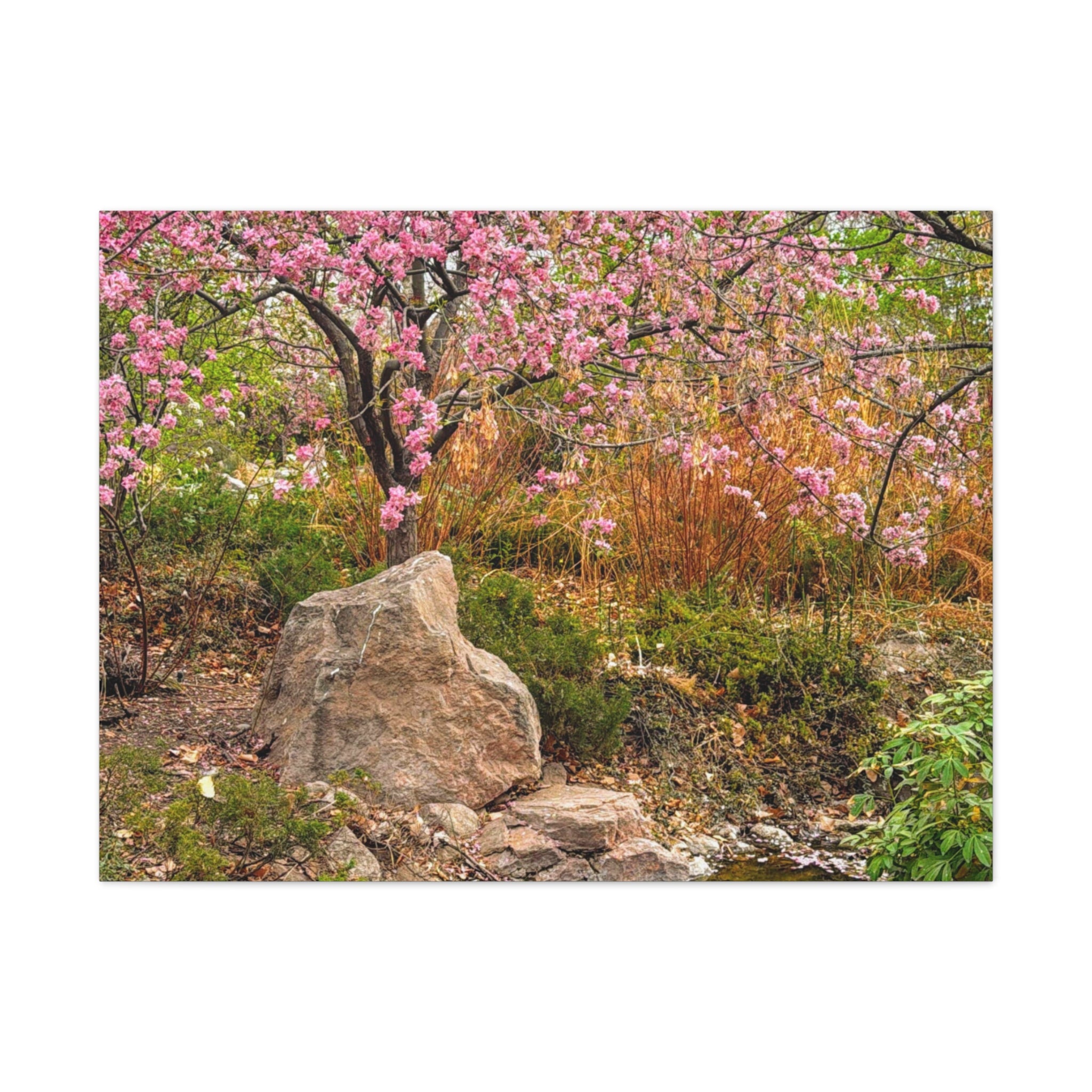 Canvas Wall Art, Pink Blossom Landscape Decor, Nature Photograph, Floral Print, Spring Home Decor, Gift for Nature Lovers