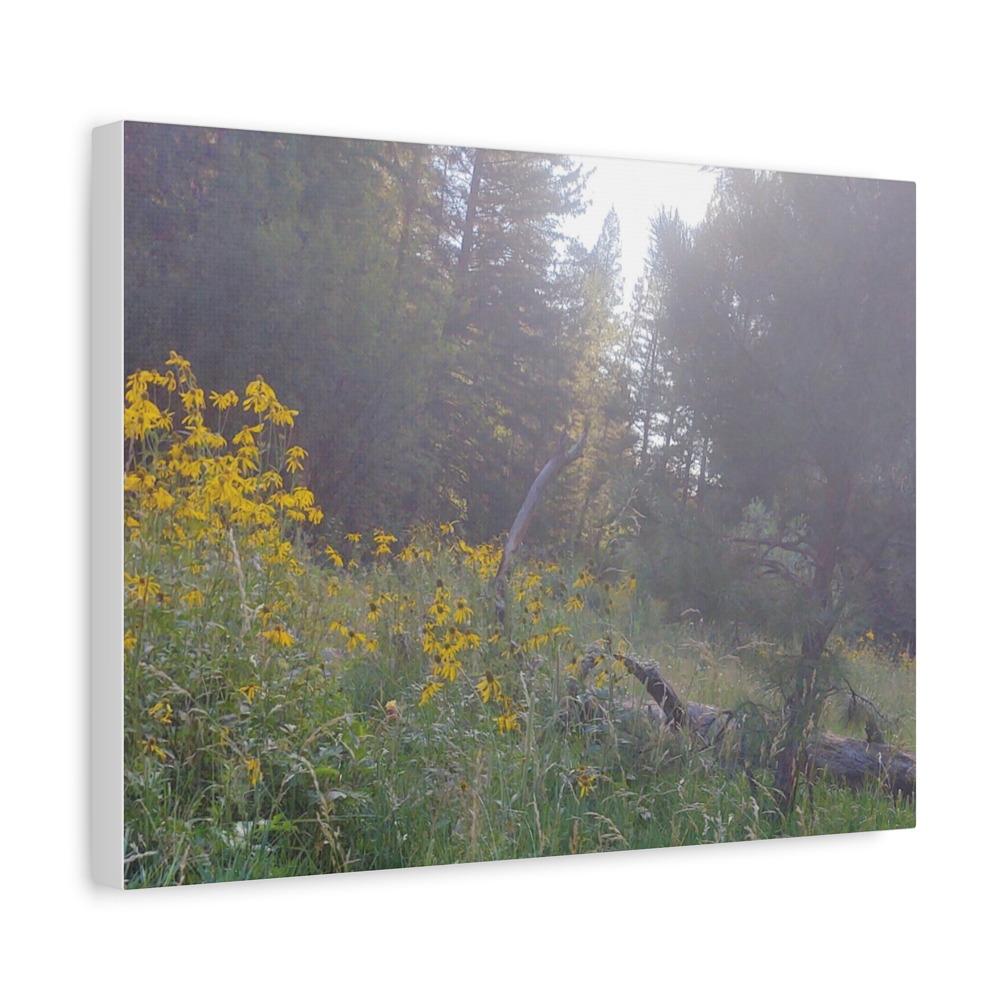 Matte Canvas, Stretched, 1.25"