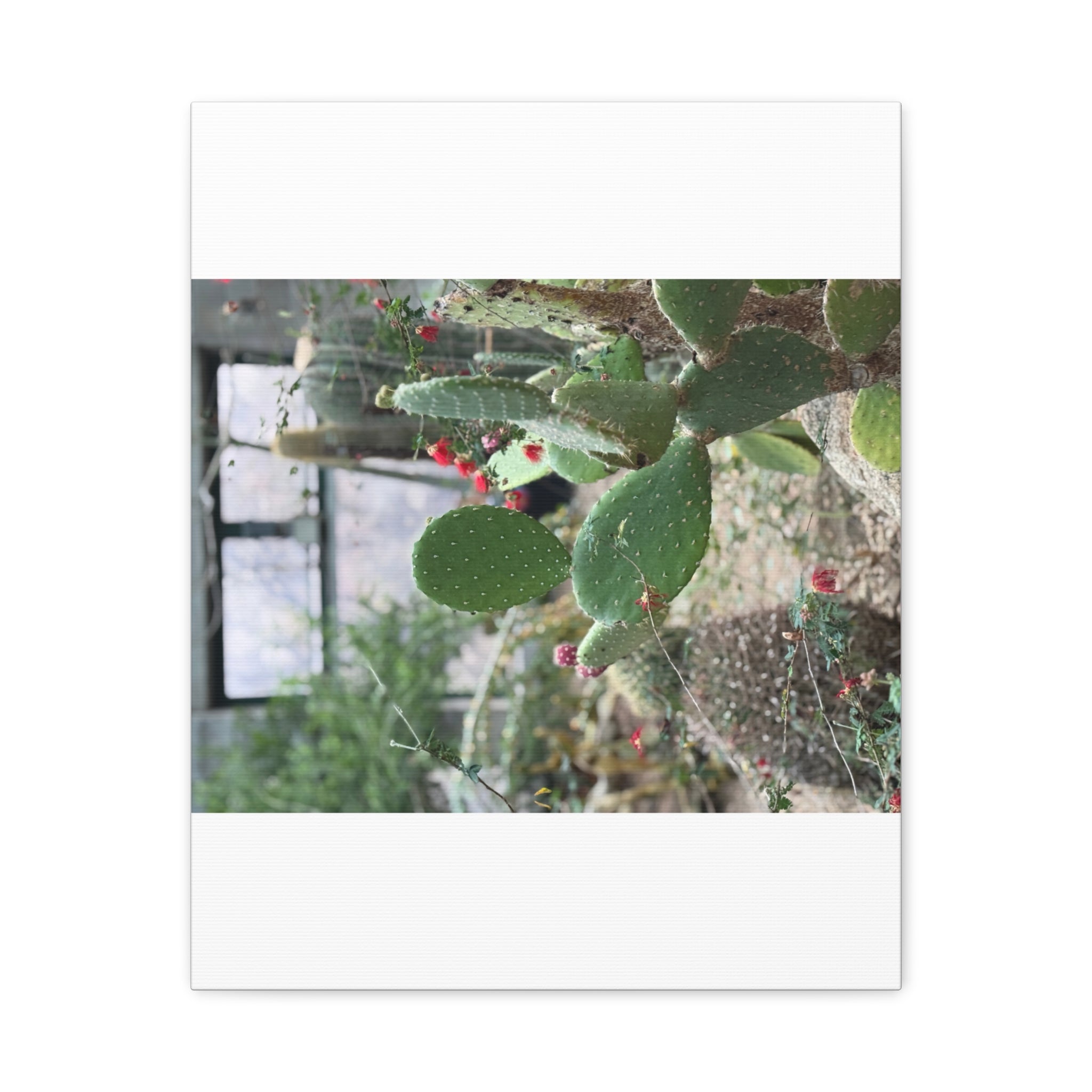 Cactus Wall Art Canvas Print, Nature Décor for Home, Office, Gift for Cactus Lovers, Unique Plant Themed Artwork, Desert Vibe Decor