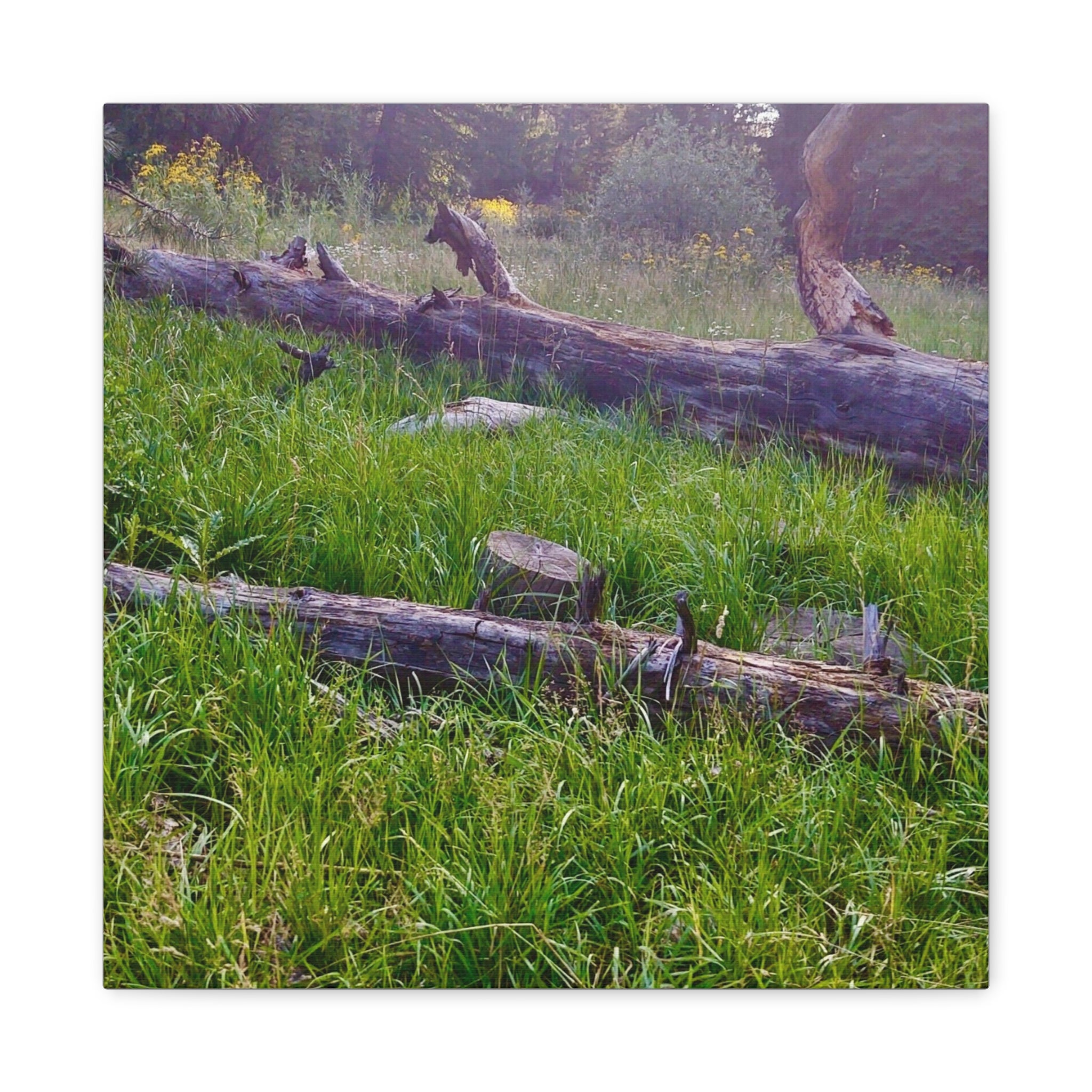 Classic Canvas Wall Art - Nature Decor, Outdoor Wall Hanging, Home Aesthetic, Gift for Nature Lovers, Rustic Cabin Decor