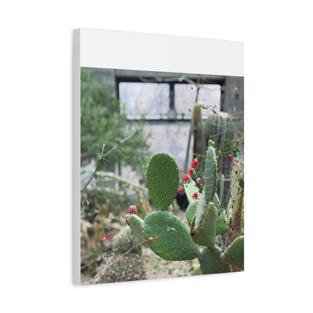 Cactus Matte Canvas Wall Art, Nature Decor, Southwestern Room Design, Green Plant Prints, Home and Office Wall Decor