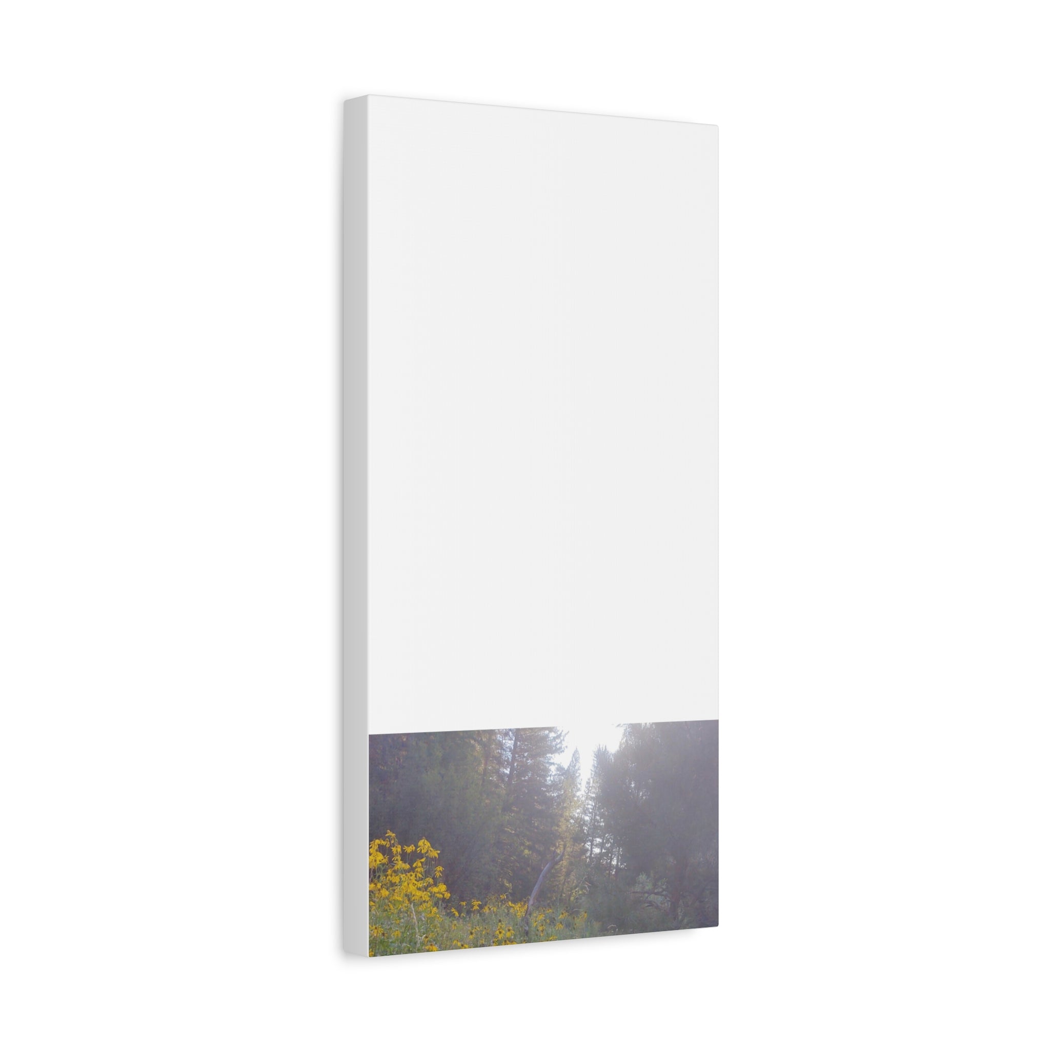 Matte Canvas, Stretched, 1.25"