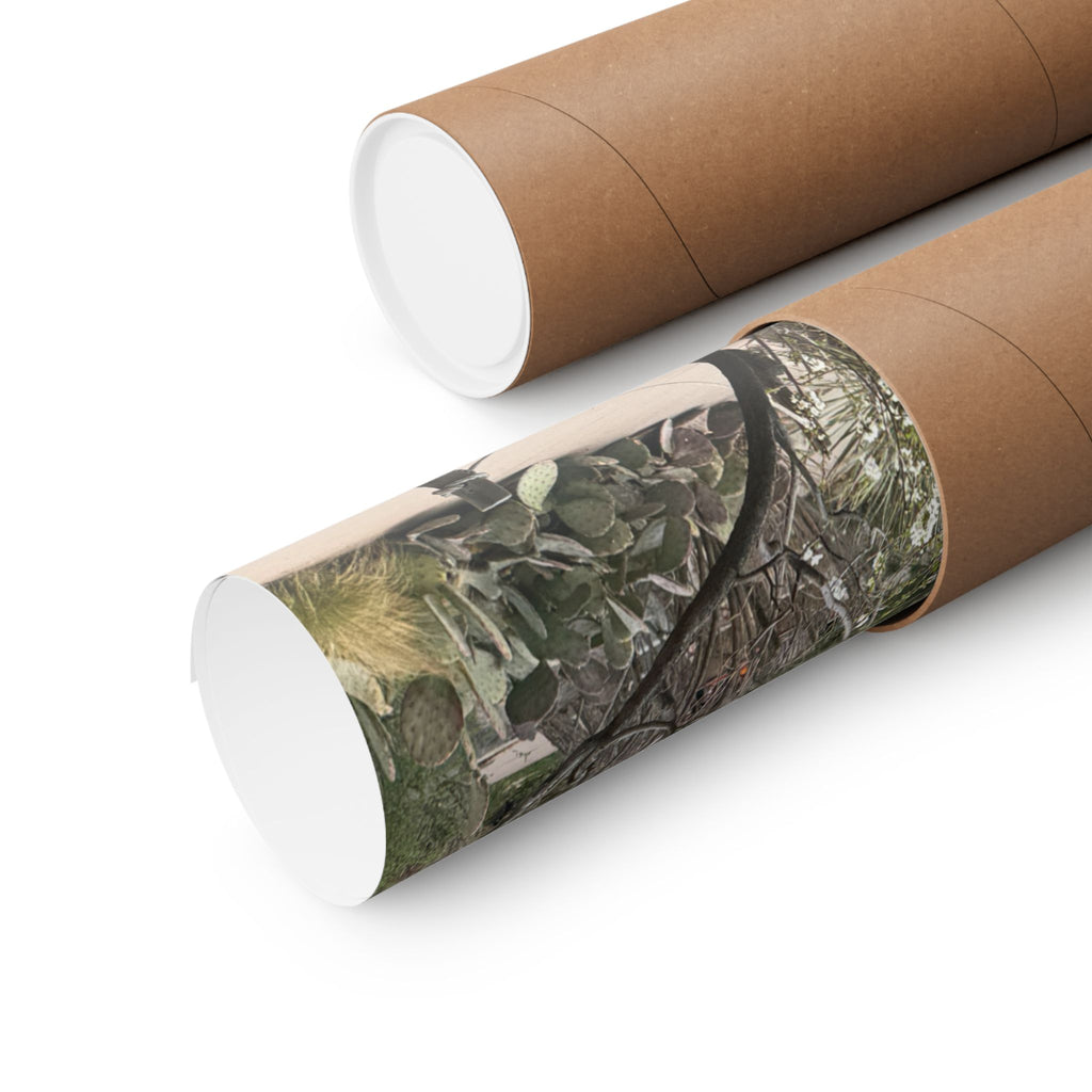 Matte Vertical Posters | Nature-Inspired Wall Art, Rustic Decor, Home Aesthetic, Gift for Nature Lovers, Bohemian Poster Prints