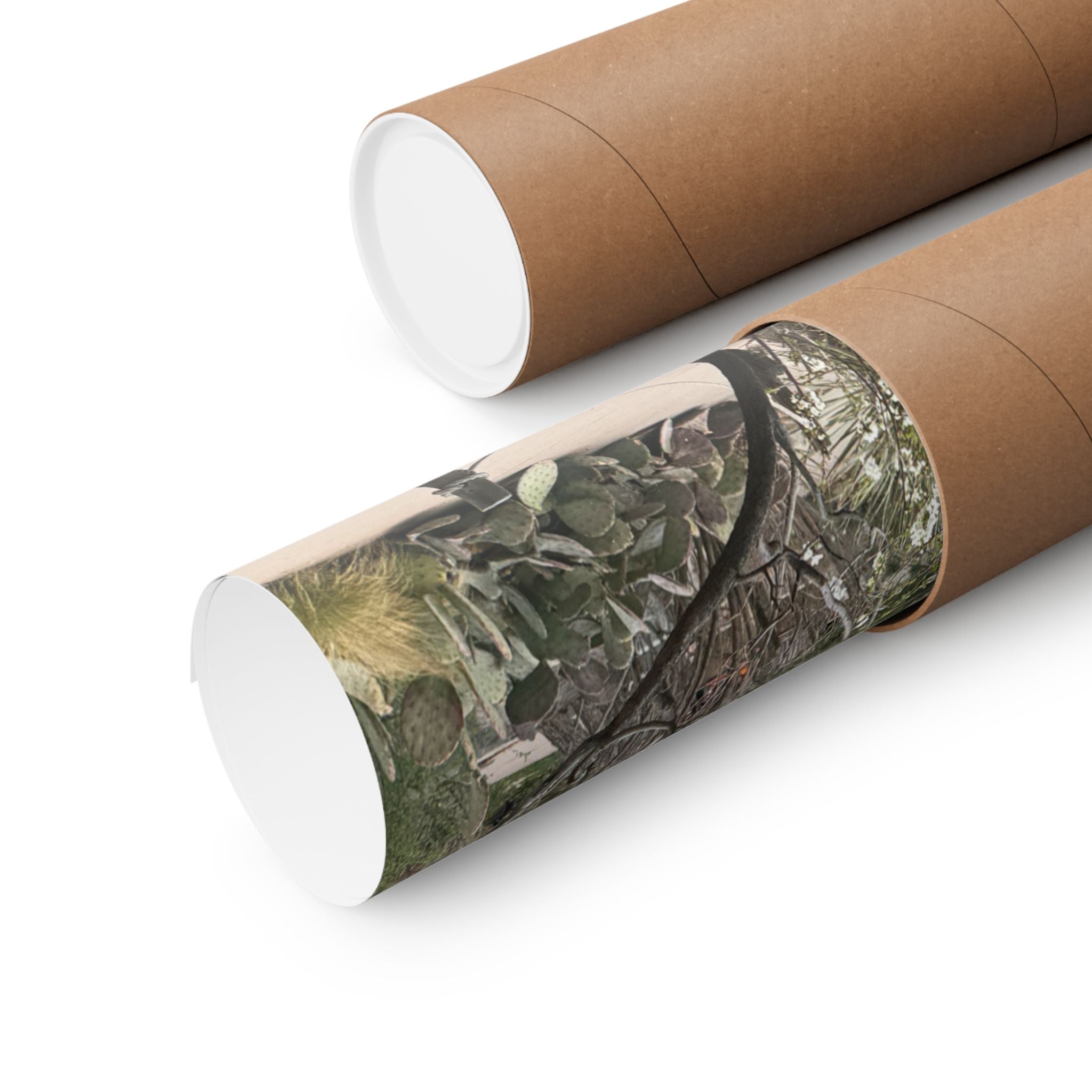 Matte Vertical Posters | Nature-Inspired Wall Art, Rustic Decor, Home Aesthetic, Gift for Nature Lovers, Bohemian Poster Prints