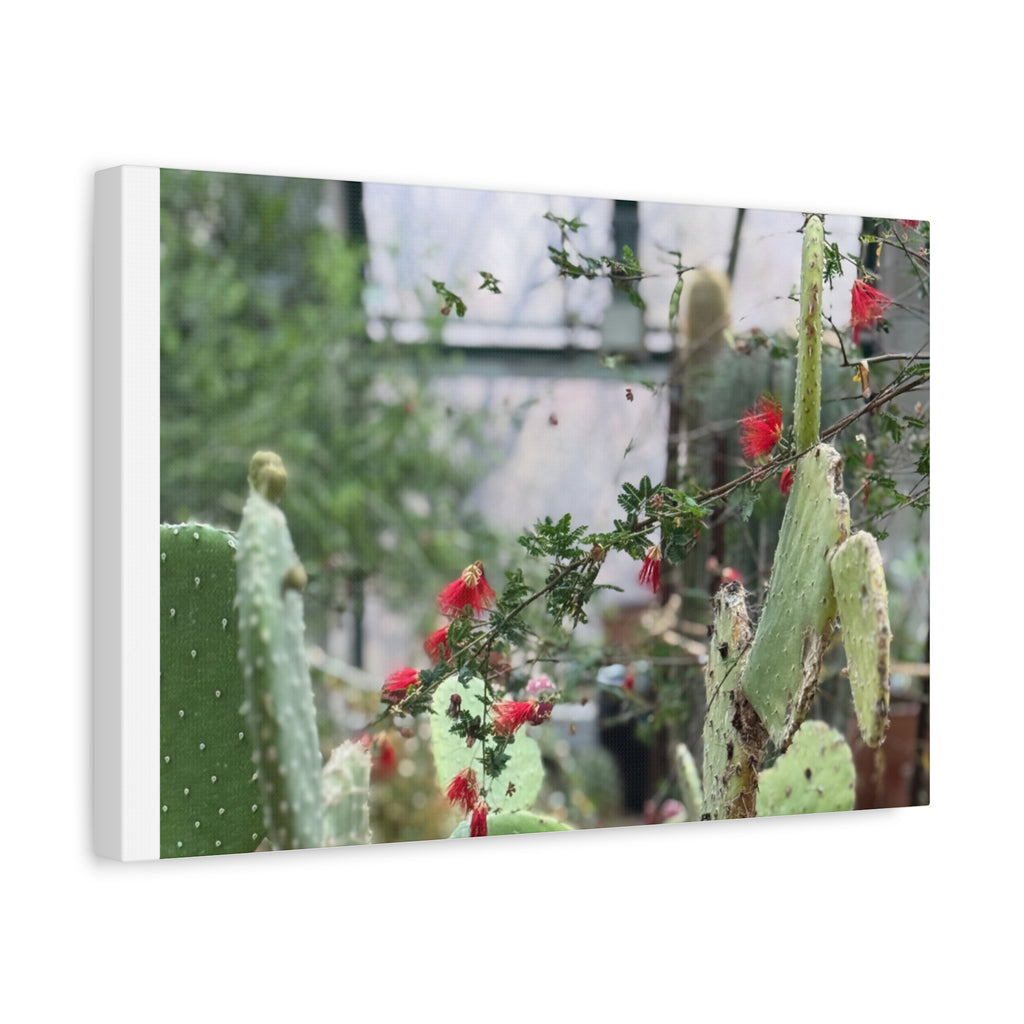 Cactus Wall Art Print, Nature Home Decor, Bohemian Style Artwork, Botanical Gift, Succulent Canvas