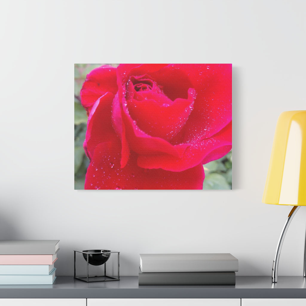 Stunning Floral Canvas Print, Home Decor, Wall Art, Gift for Flower Lovers, Red Rose Art, Mother's Day Gift