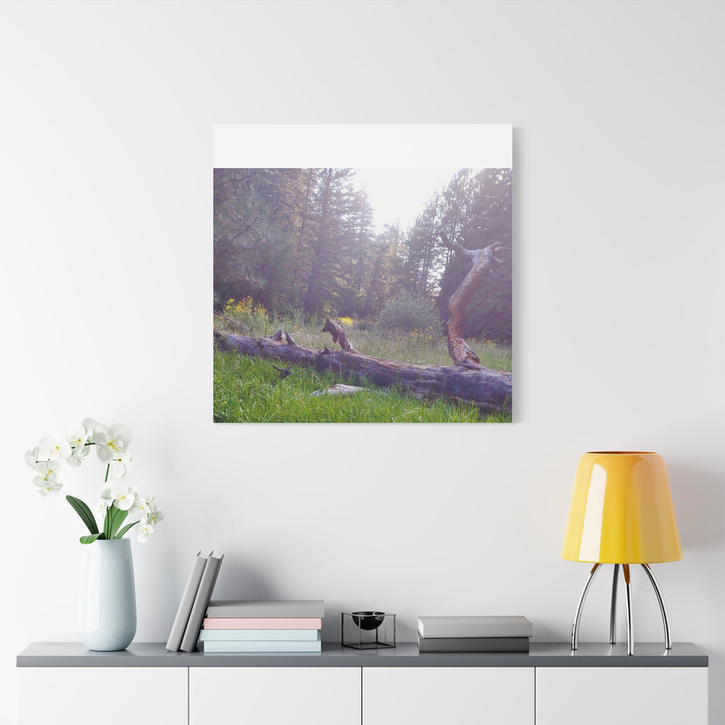 Matte Canvas Wall Art - Serene Nature Scene, Perfect for Home Decor, Gift for Nature Lovers, Office Wall Decoration, Rustic Art Print