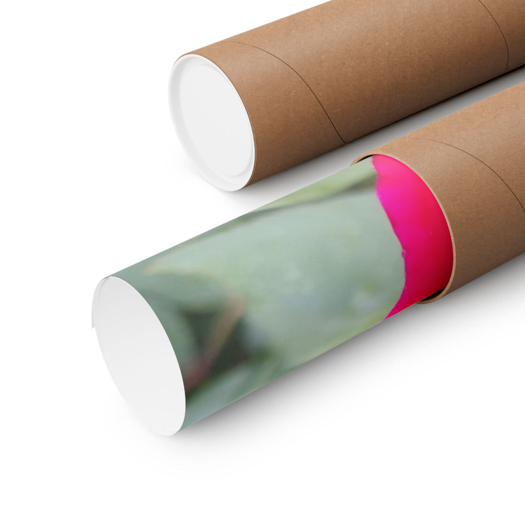 Vibrant Floral Matte Poster, Home Decor, Wall Art, Gift for Her, Red Rose Print, Botanical Wall Art, Romantic Decoration