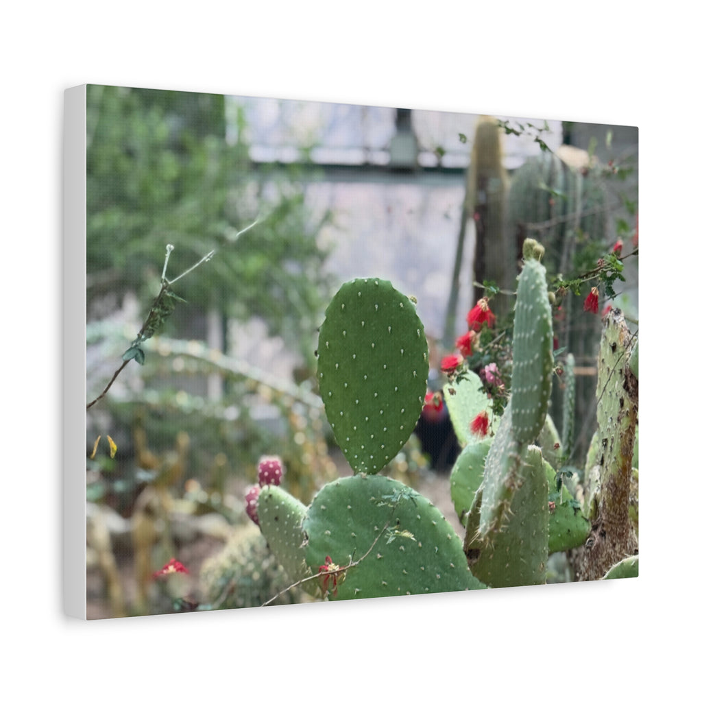 Cactus Matte Canvas Wall Art, Nature Decor, Southwestern Room Design, Green Plant Prints, Home and Office Wall Decor