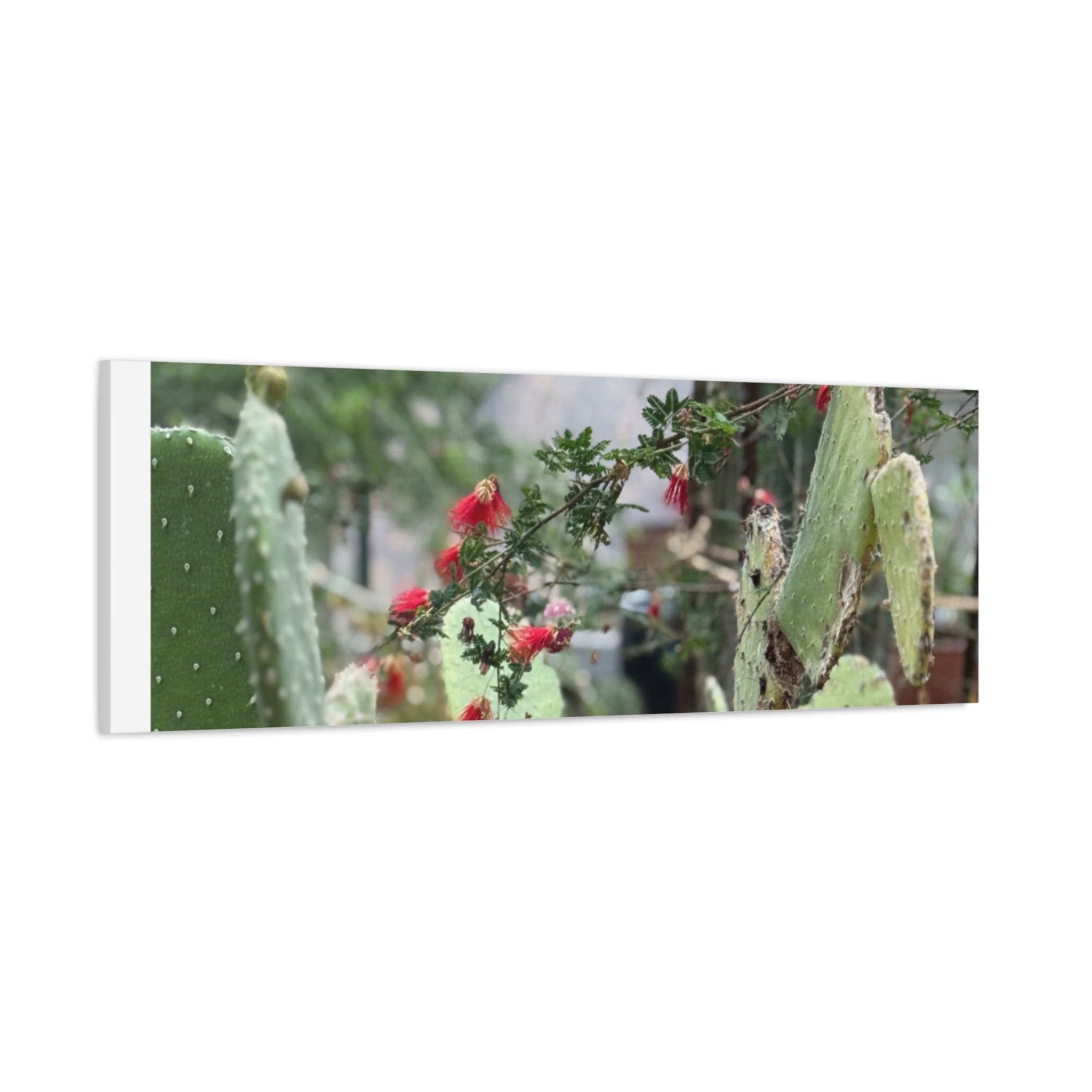 Cactus Wall Art Print, Nature Home Decor, Bohemian Style Artwork, Botanical Gift, Succulent Canvas