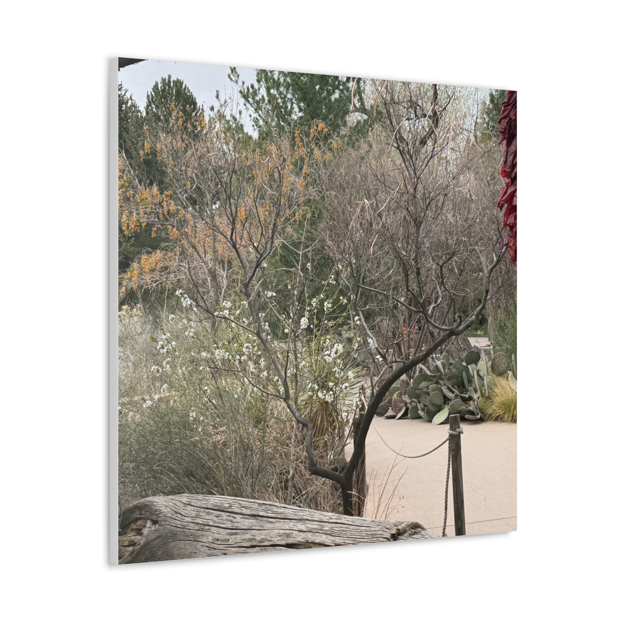 Classic Canvas Art Print, Bohemian Decor, Nature Wall Art, Home Gallery, Rustic Wall Decoration