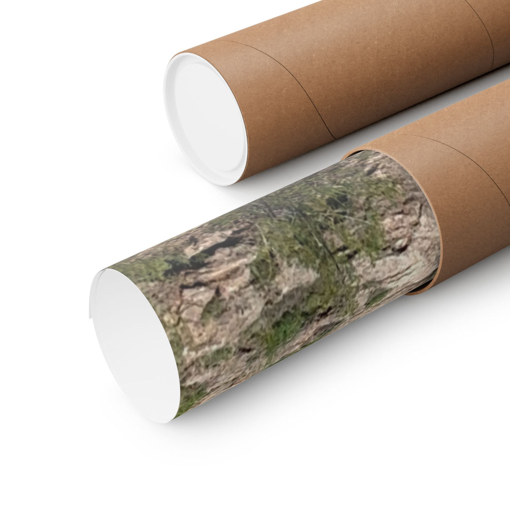 Nature-Inspired Matte Vertical Posters, Scenic Wall Art, Home Decor, Outdoor Aesthetics, Gift for Nature Lovers