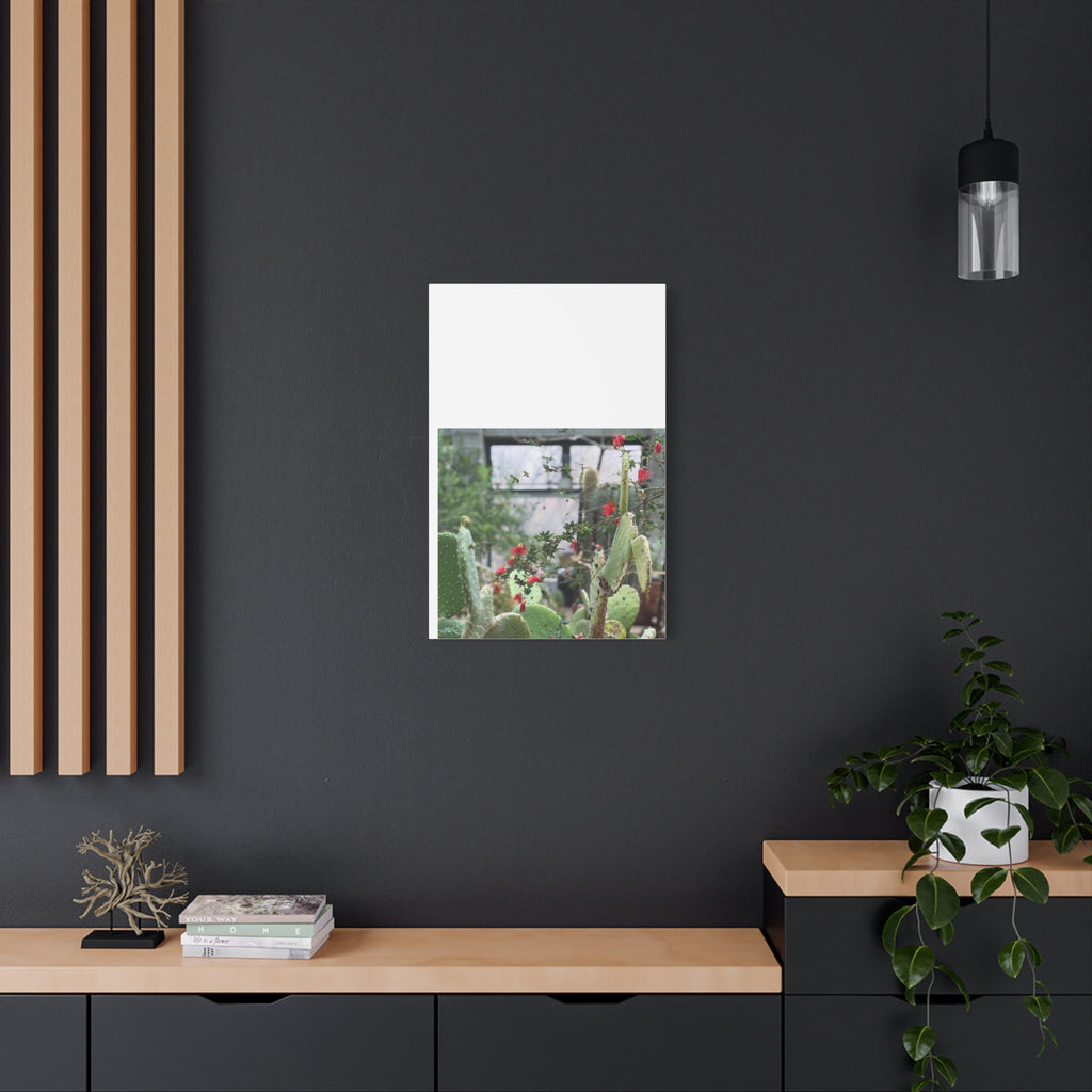 Cactus Wall Art Print, Nature Home Decor, Bohemian Style Artwork, Botanical Gift, Succulent Canvas