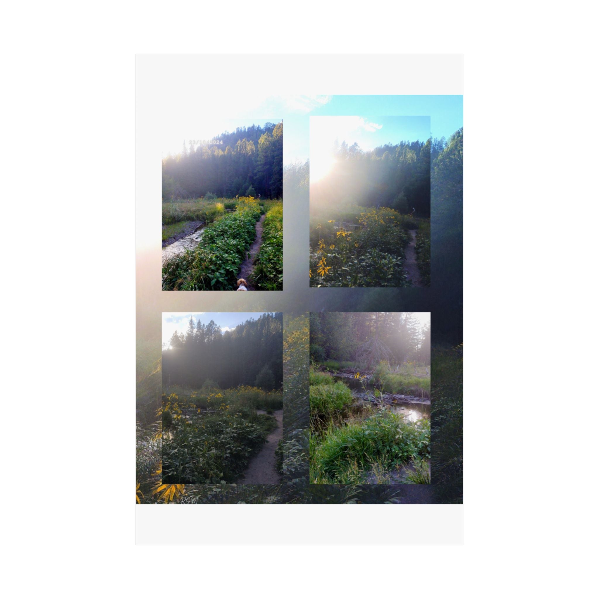 Nature-Inspired Matte Vertical Posters | Wall Art, Home Decor, Landscape Photography, Gift for Nature Lovers, Eco-Friendly Decor