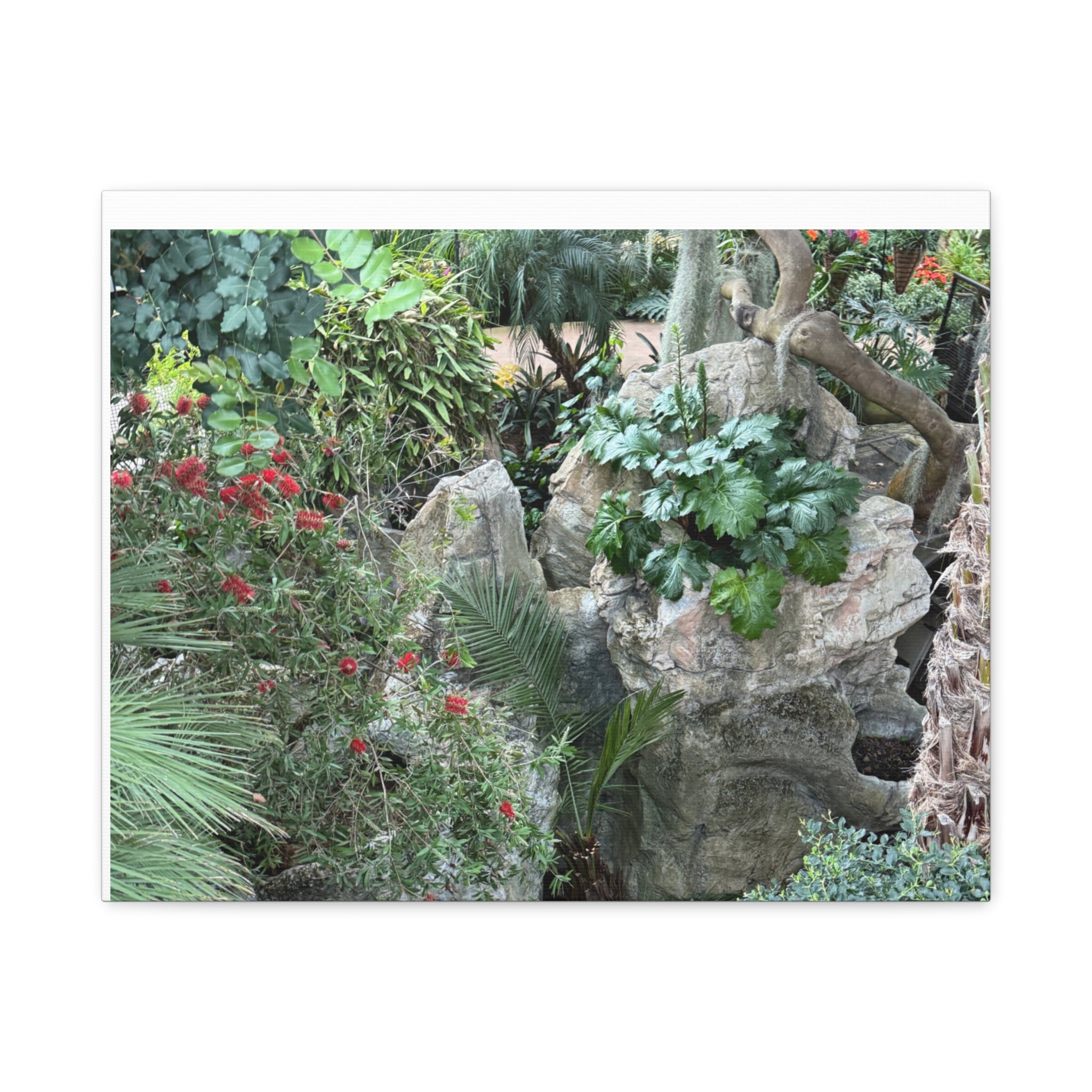 Nature-Inspired Wall Art, Canvas Print, Botanical Decor for Home, Greenery Art, Gift for Nature Lovers, Eco-Friendly Decoration