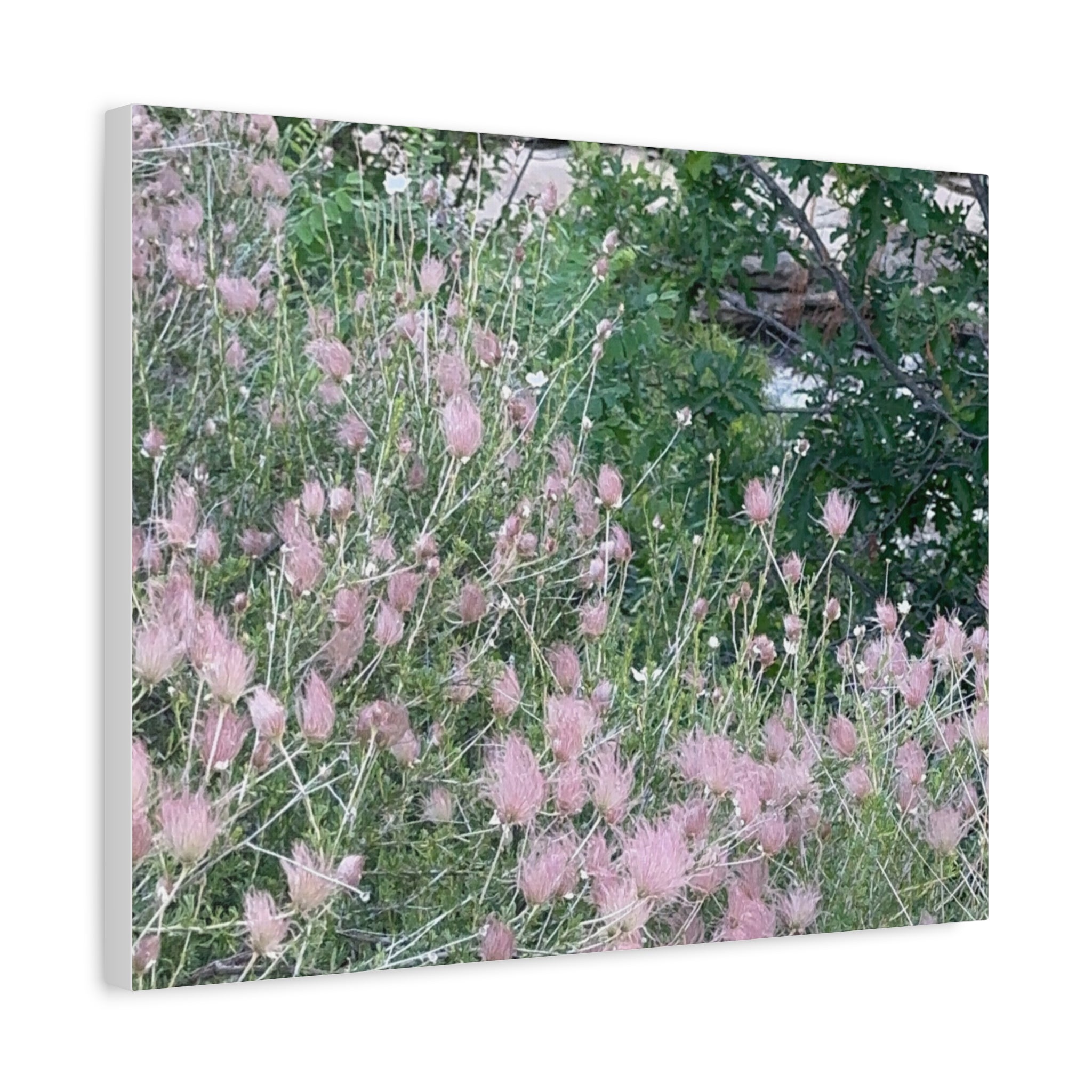 Floral Wall Art Canvas, Home Decor, Nature Lover Gift, Botanical Print, Spring Decor, Mother’s Day