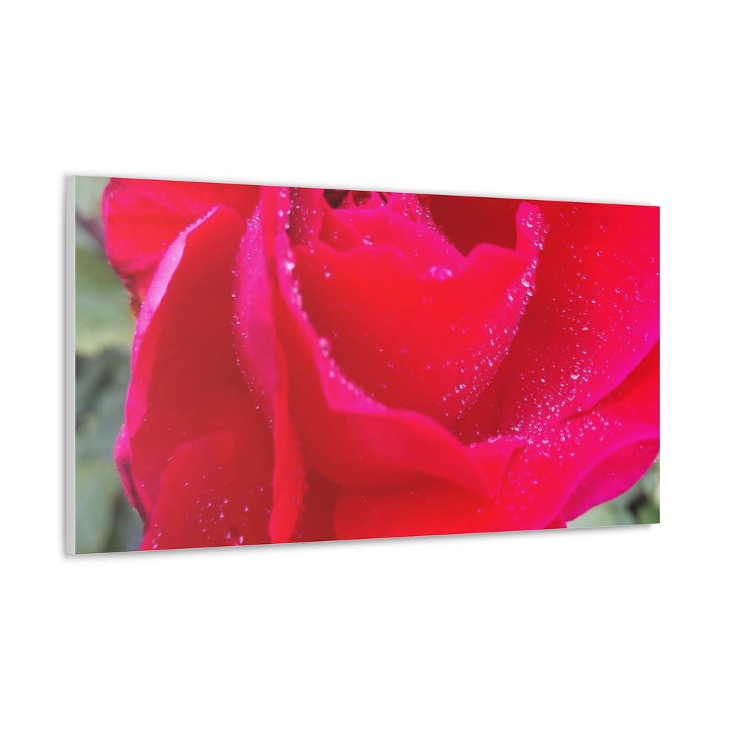 Stunning Floral Canvas Print, Home Decor, Wall Art, Gift for Flower Lovers, Red Rose Art, Mother's Day Gift