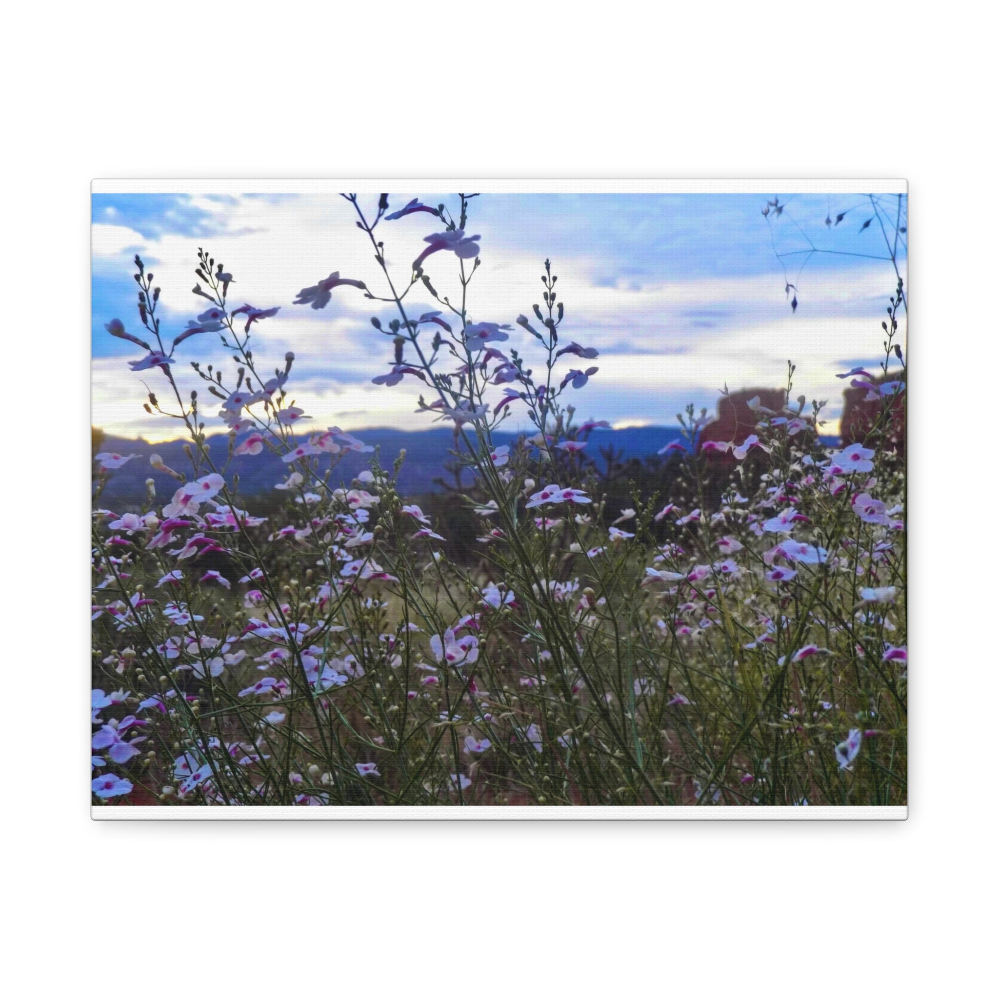 Floral Wall Art Canvas, Nature-Inspired Home Decor, Flower Print, Rustic Living Room, Gift for Gardeners, Boho Wall Art