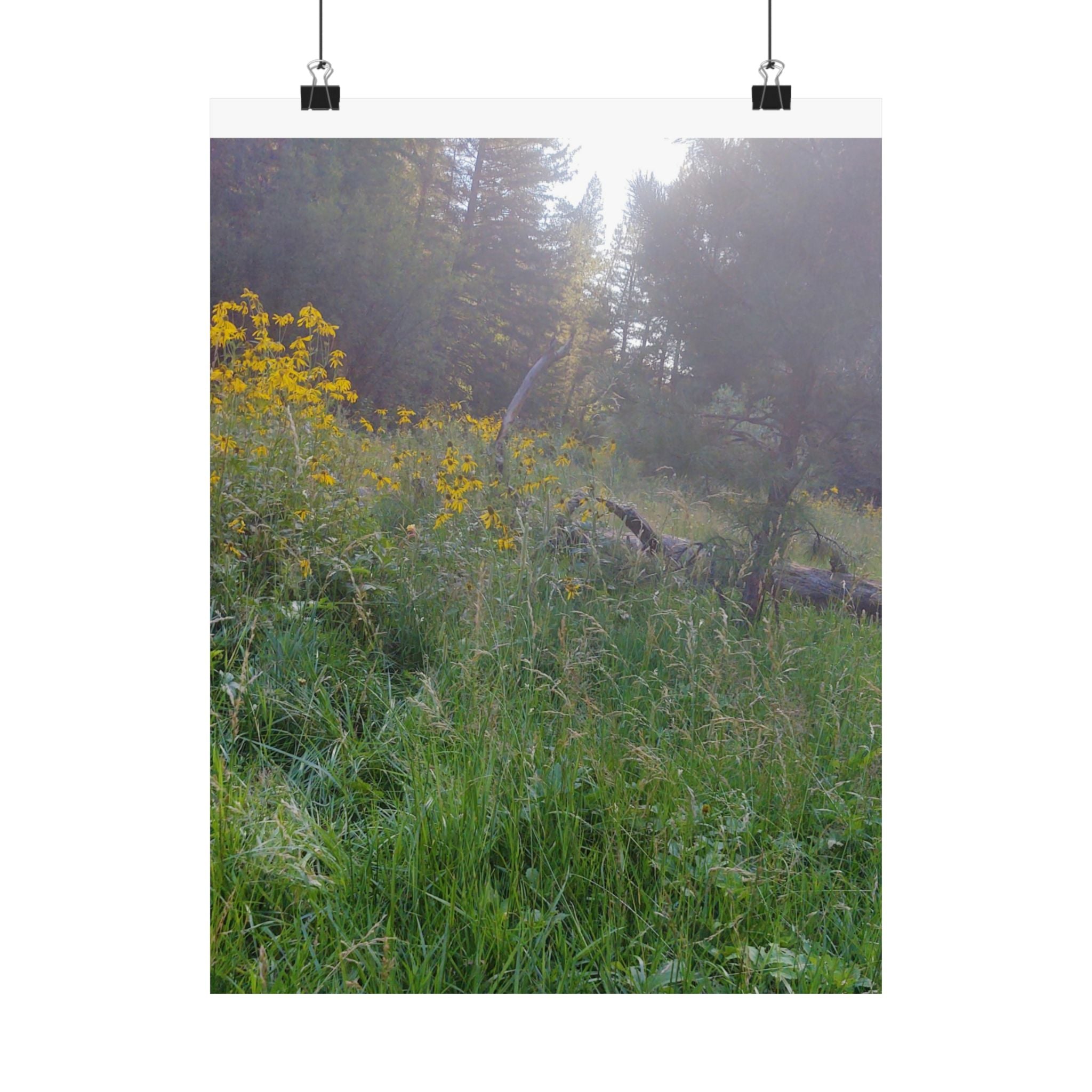 Nature-Inspired Matte Vertical Posters, Floral Art Print, Wall Decor, Home Aesthetic, Cottage Core Decor, Boho Wall Art