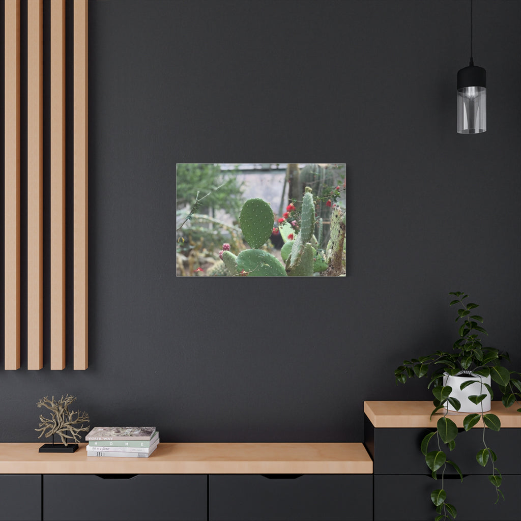 Cactus Matte Canvas Wall Art, Nature Decor, Southwestern Room Design, Green Plant Prints, Home and Office Wall Decor