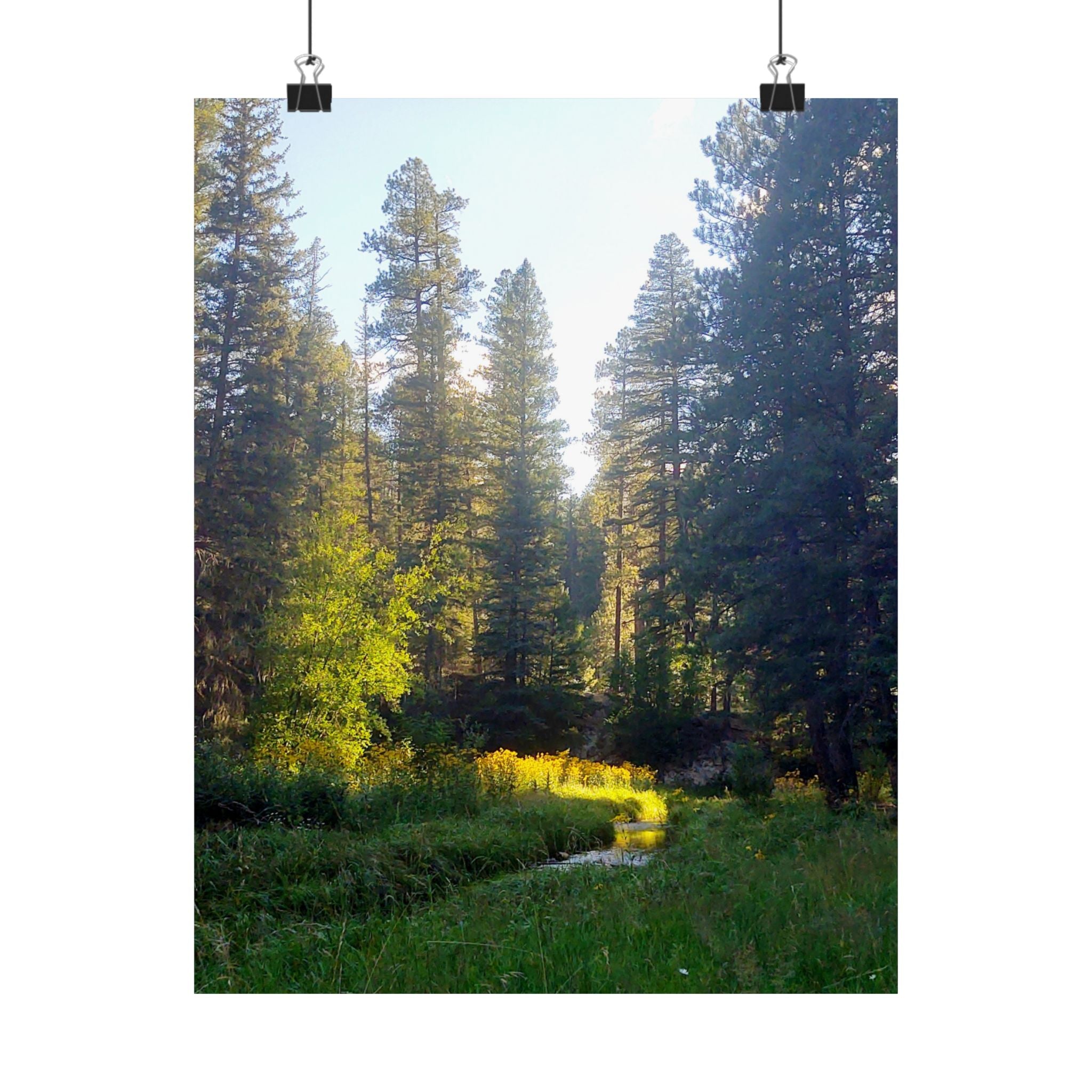 Serene Nature Poster, Wall Art Print, Forest Decor, Botanical Photography, Home Office Artwork