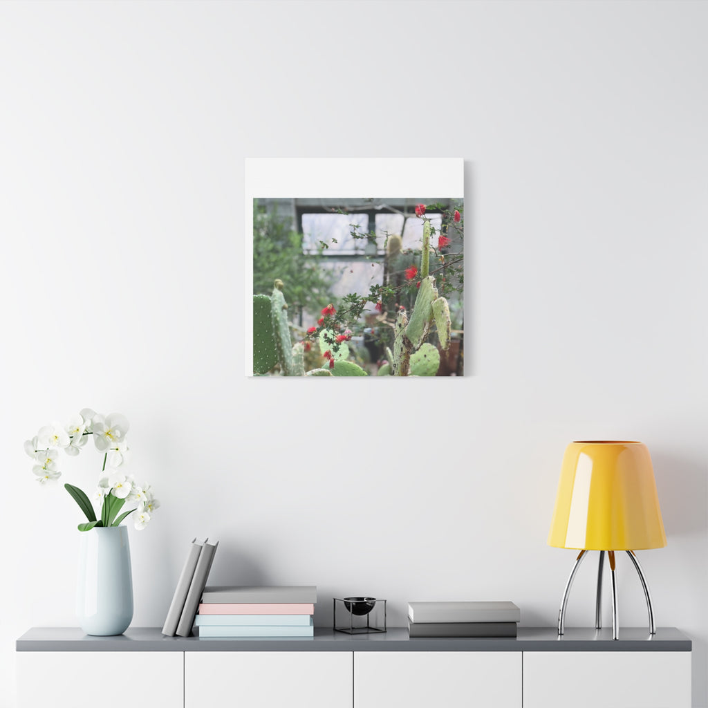 Cactus Wall Art Print, Nature Home Decor, Bohemian Style Artwork, Botanical Gift, Succulent Canvas