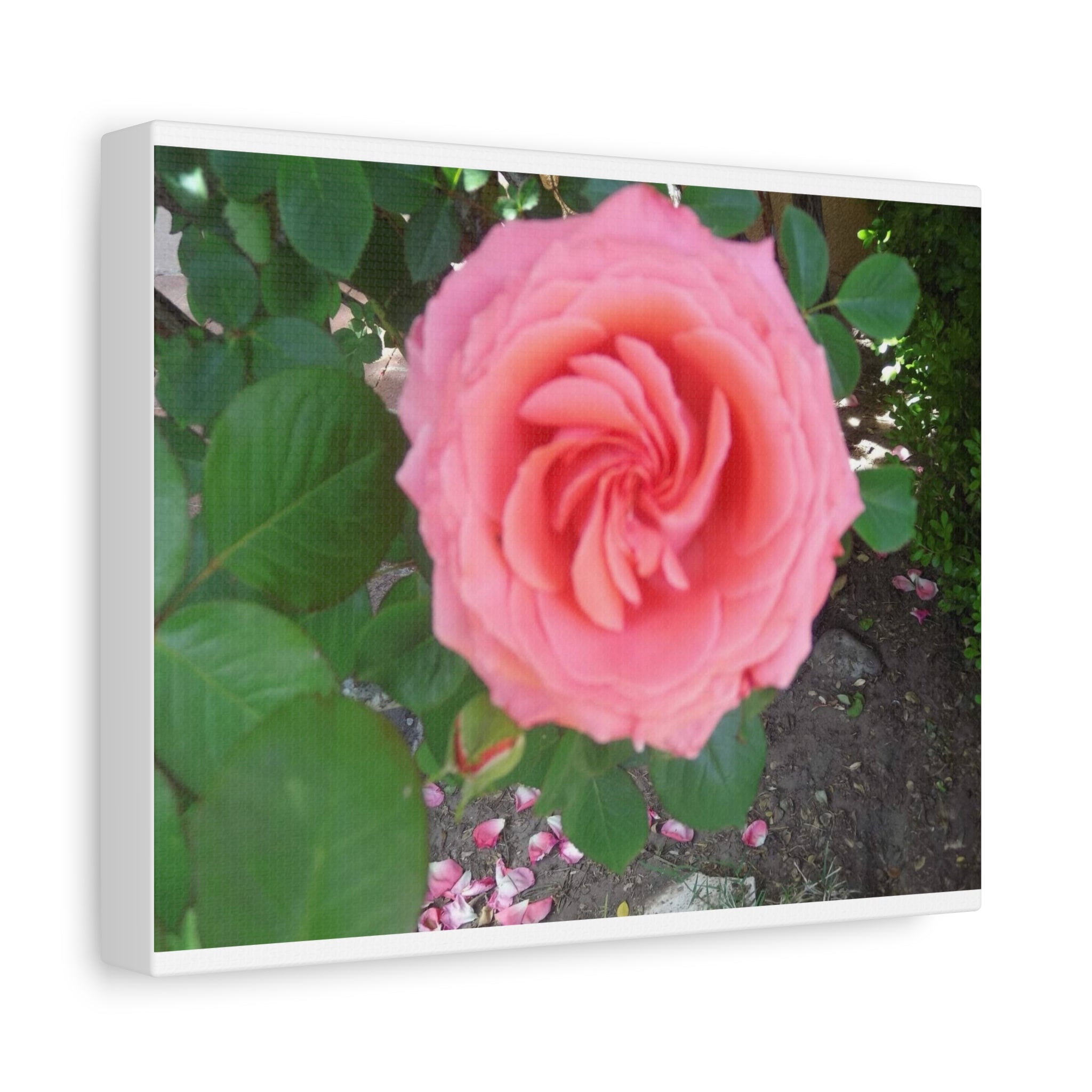 Pink Rose Canvas Wall Art, Floral Decor for Home, Perfect Gift for Nature Lovers, Elegant Wall Hanging, Mother's Day Decoration