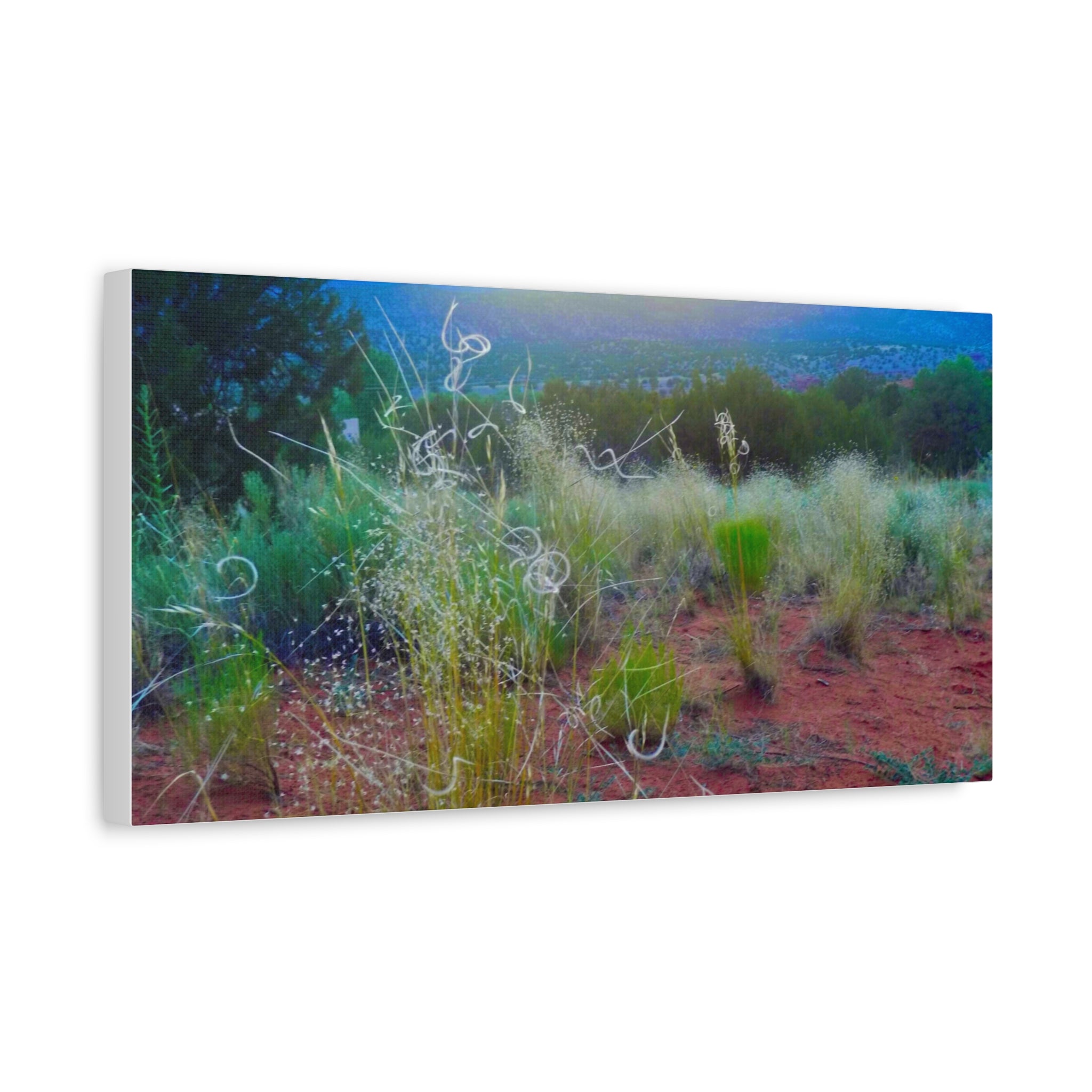 Stretched Canvas Art Print, Nature Wall Decor, Boho Home Decor, Rustic Landscape Art, Gift for Nature Lovers