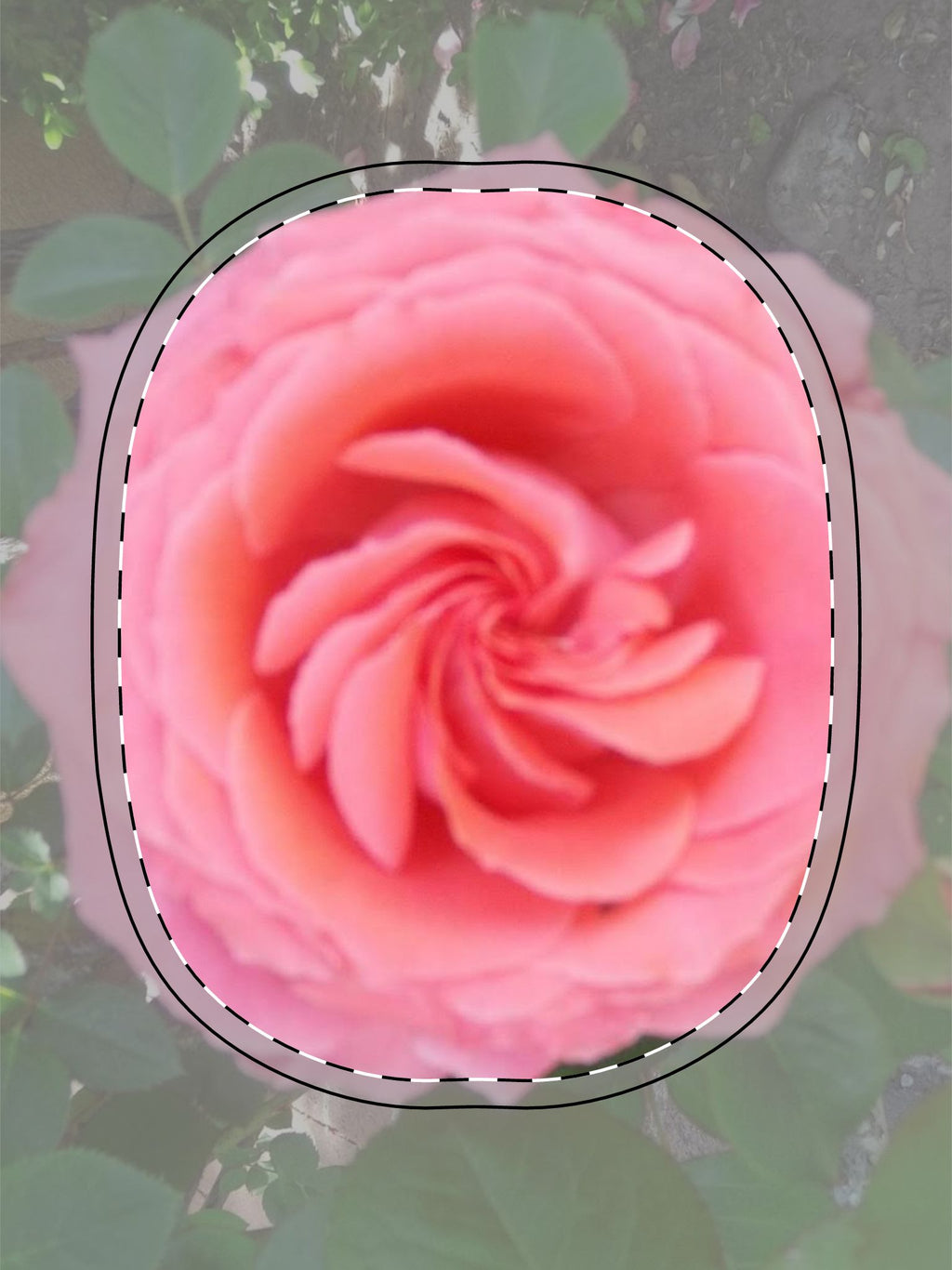 Stylish AirPods Max Shell Case - Floral Design, Gift for Music Lovers, Travel Accessory, Flower Print Cover, Personalized Earphone Case