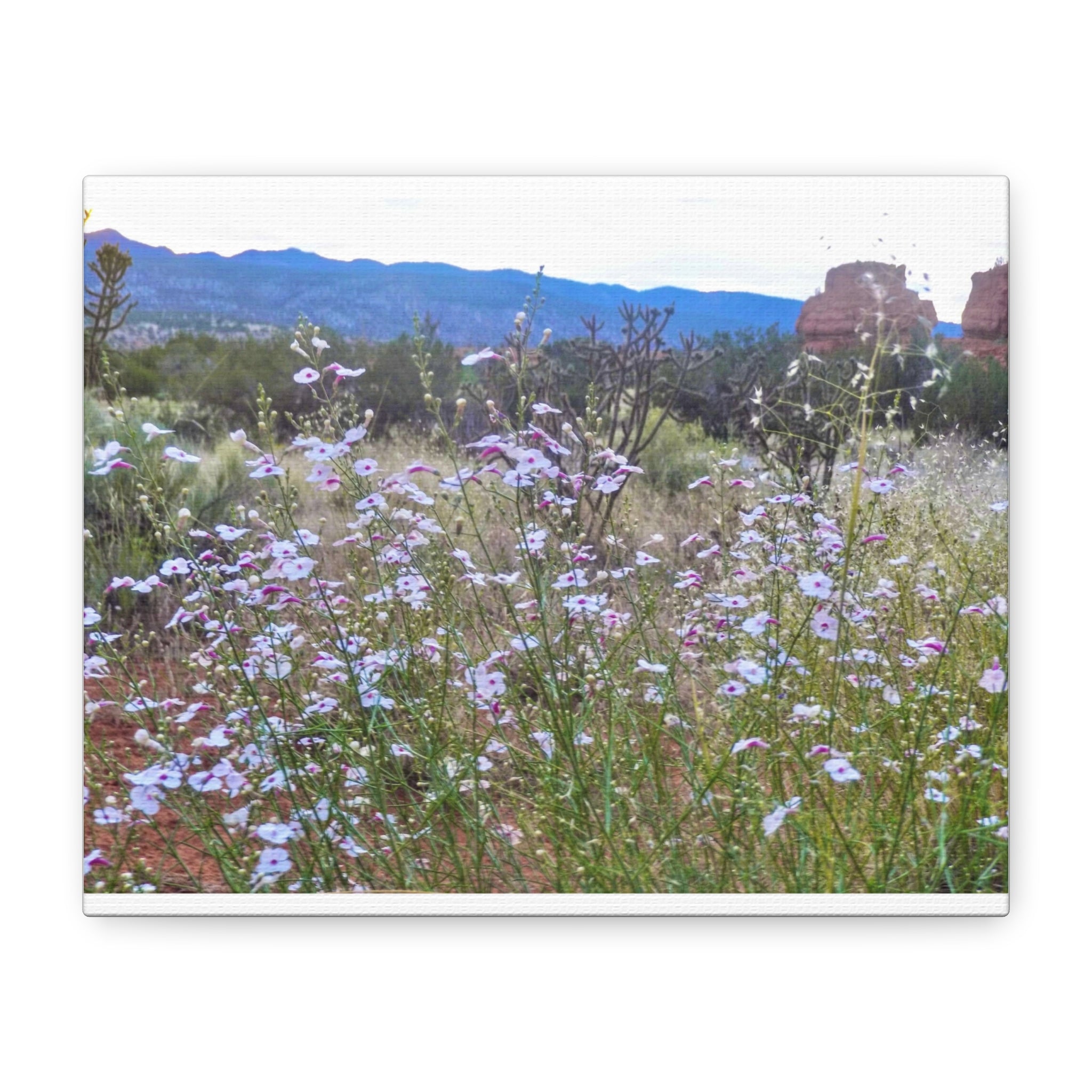 Floral Canvas Art Print, Nature Decor for Home, Wall Art for Office, Gift for Garden Lovers, Botanical Wall Decor, Spring Vibes