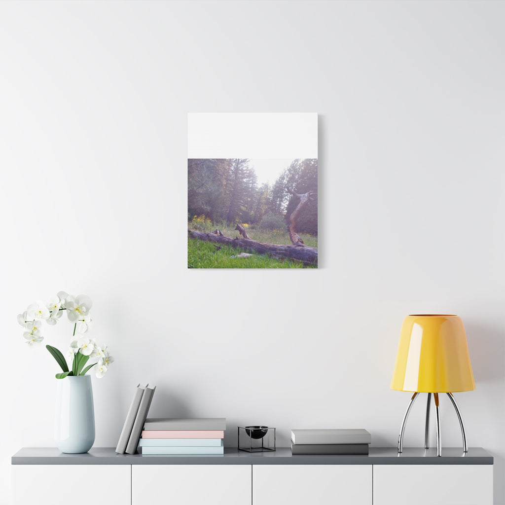 Matte Canvas Wall Art - Serene Nature Scene, Perfect for Home Decor, Gift for Nature Lovers, Office Wall Decoration, Rustic Art Print