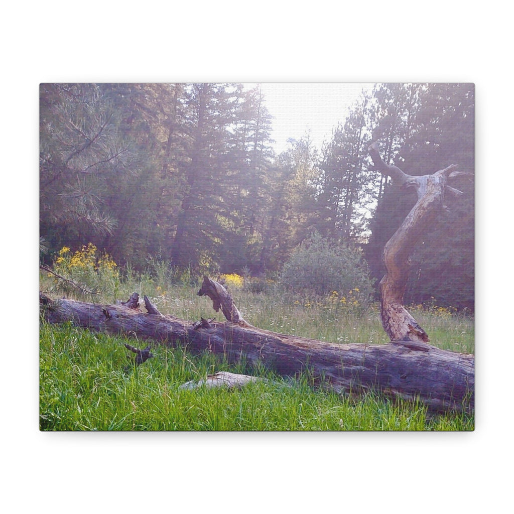 Matte Canvas Wall Art - Serene Nature Scene, Perfect for Home Decor, Gift for Nature Lovers, Office Wall Decoration, Rustic Art Print